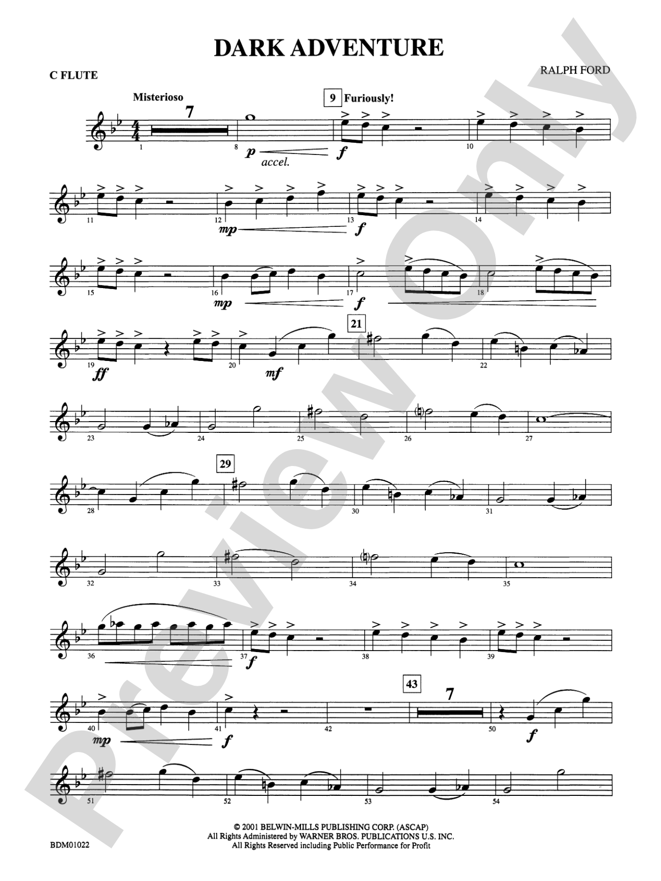 Dark Adventure: Flute