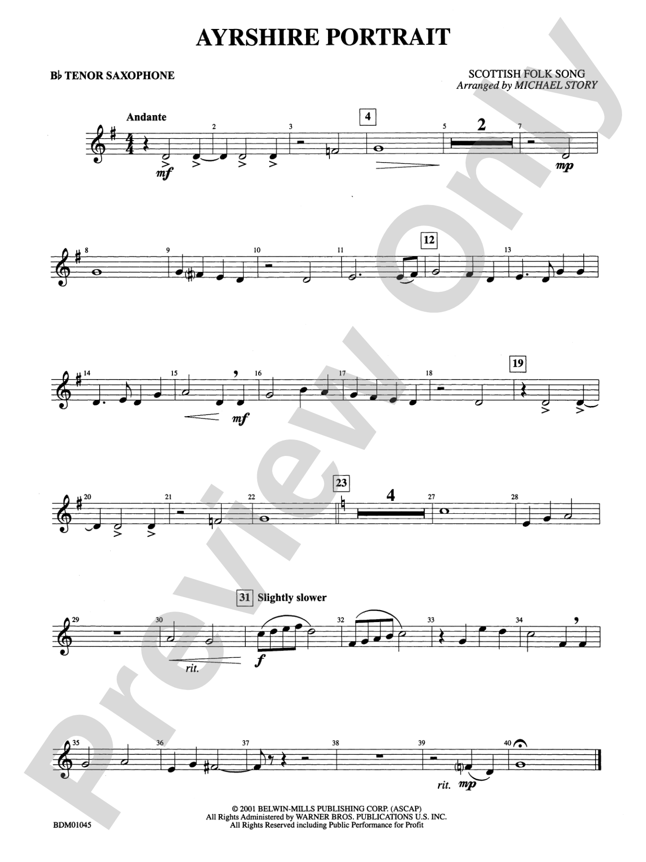 Ayrshire Portrait: B-flat Tenor Saxophone