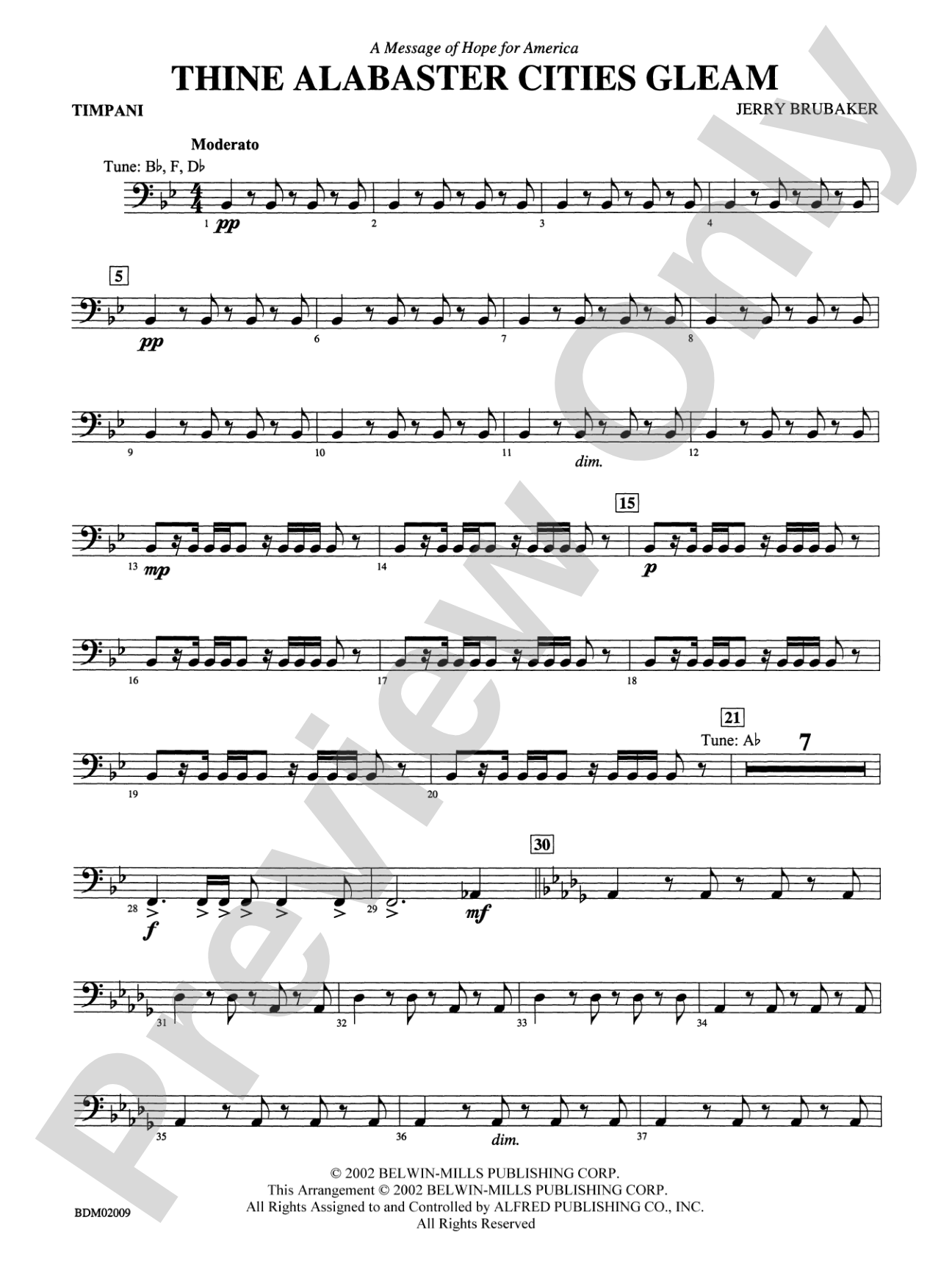 Thine Alabaster Cities Gleam (A Message of Hope for America): Timpani