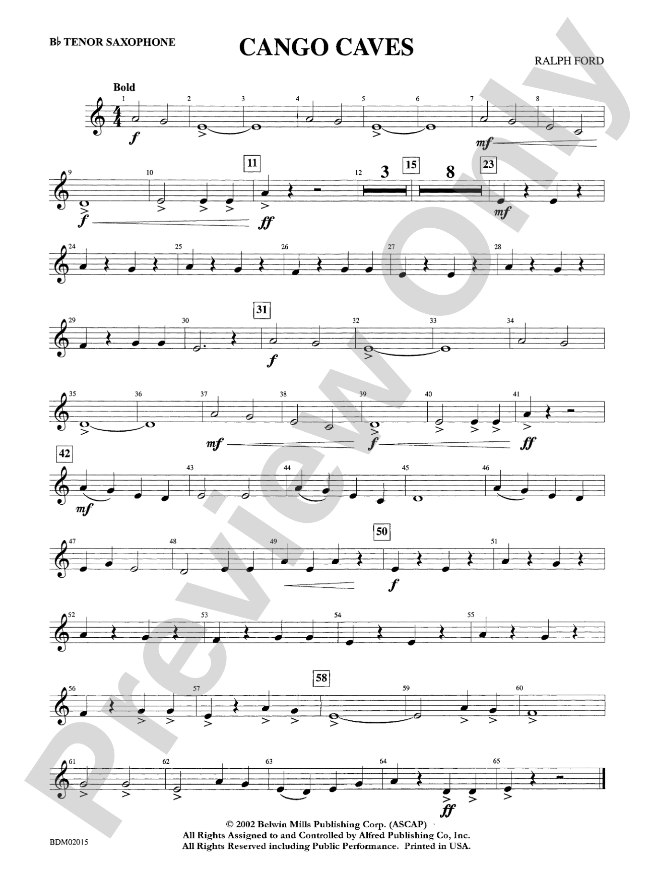 Cango Caves: B-flat Tenor Saxophone