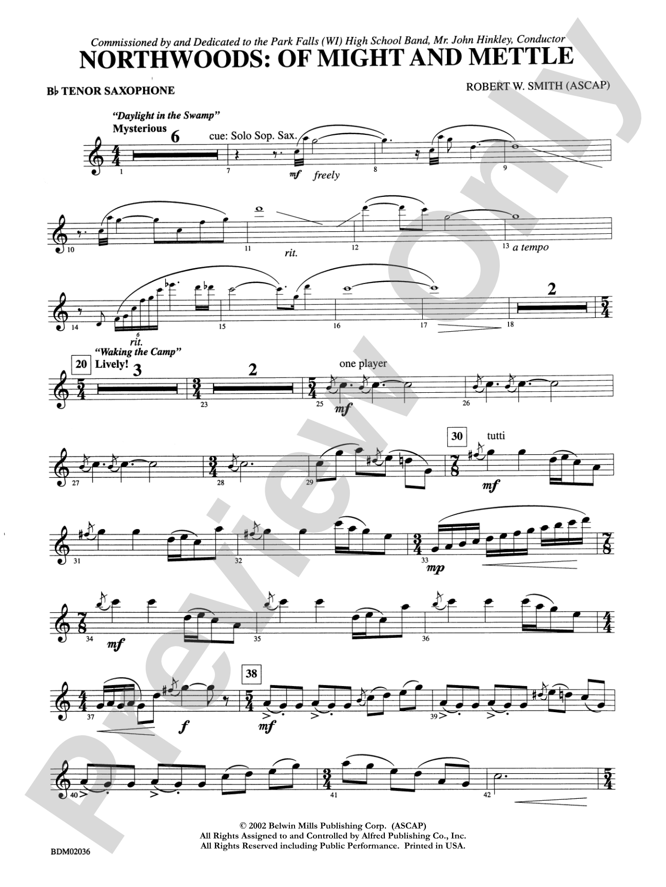 Northwoods: Of Might and Mettle: B-flat Tenor Saxophone