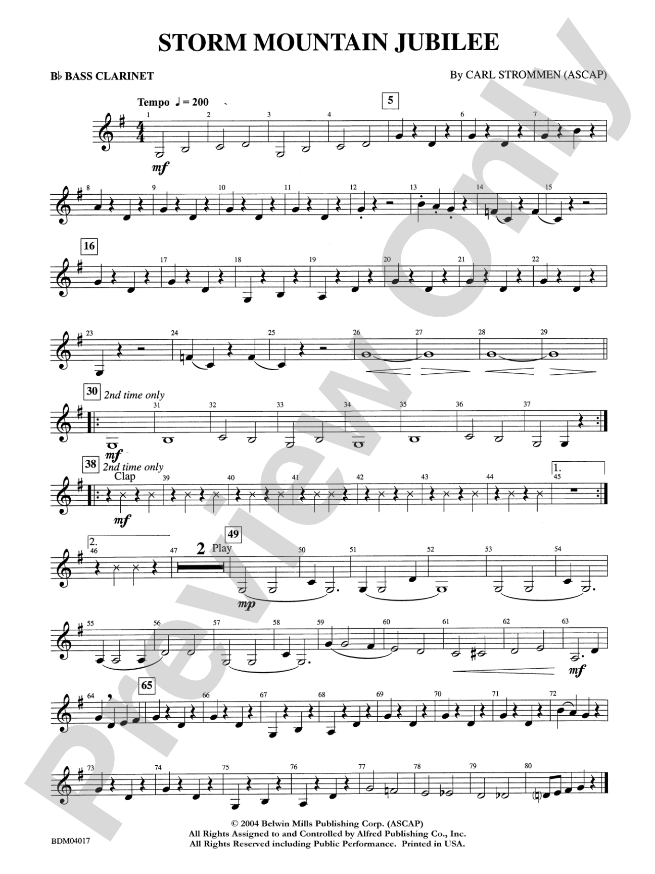 Storm Mountain Jubilee: B-flat Bass Clarinet