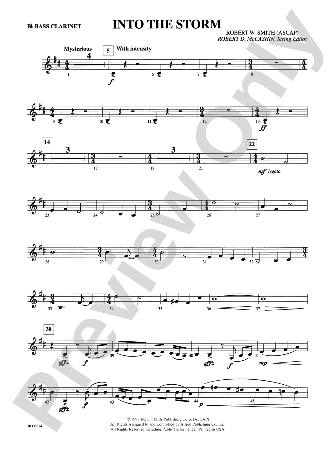 Into the Storm: B-flat Bass Clarinet