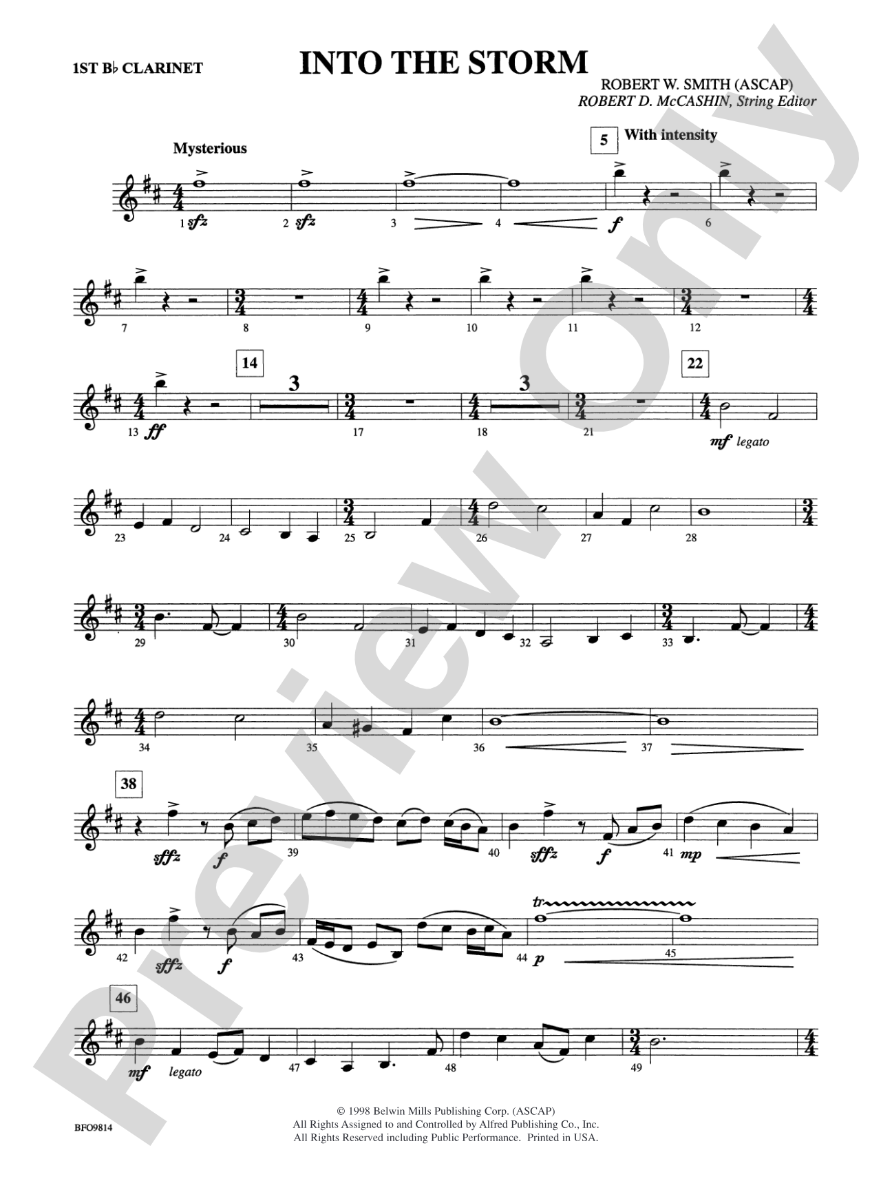 Into the Storm: 1st B-flat Clarinet