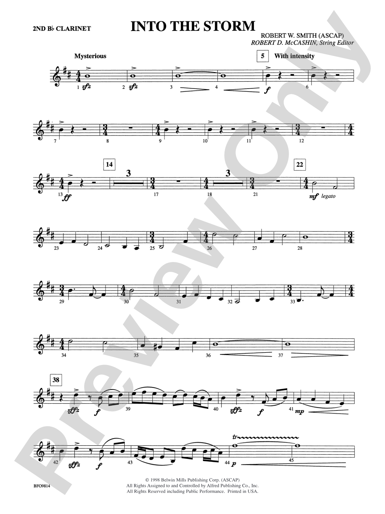 Into the Storm: 2nd B-flat Clarinet