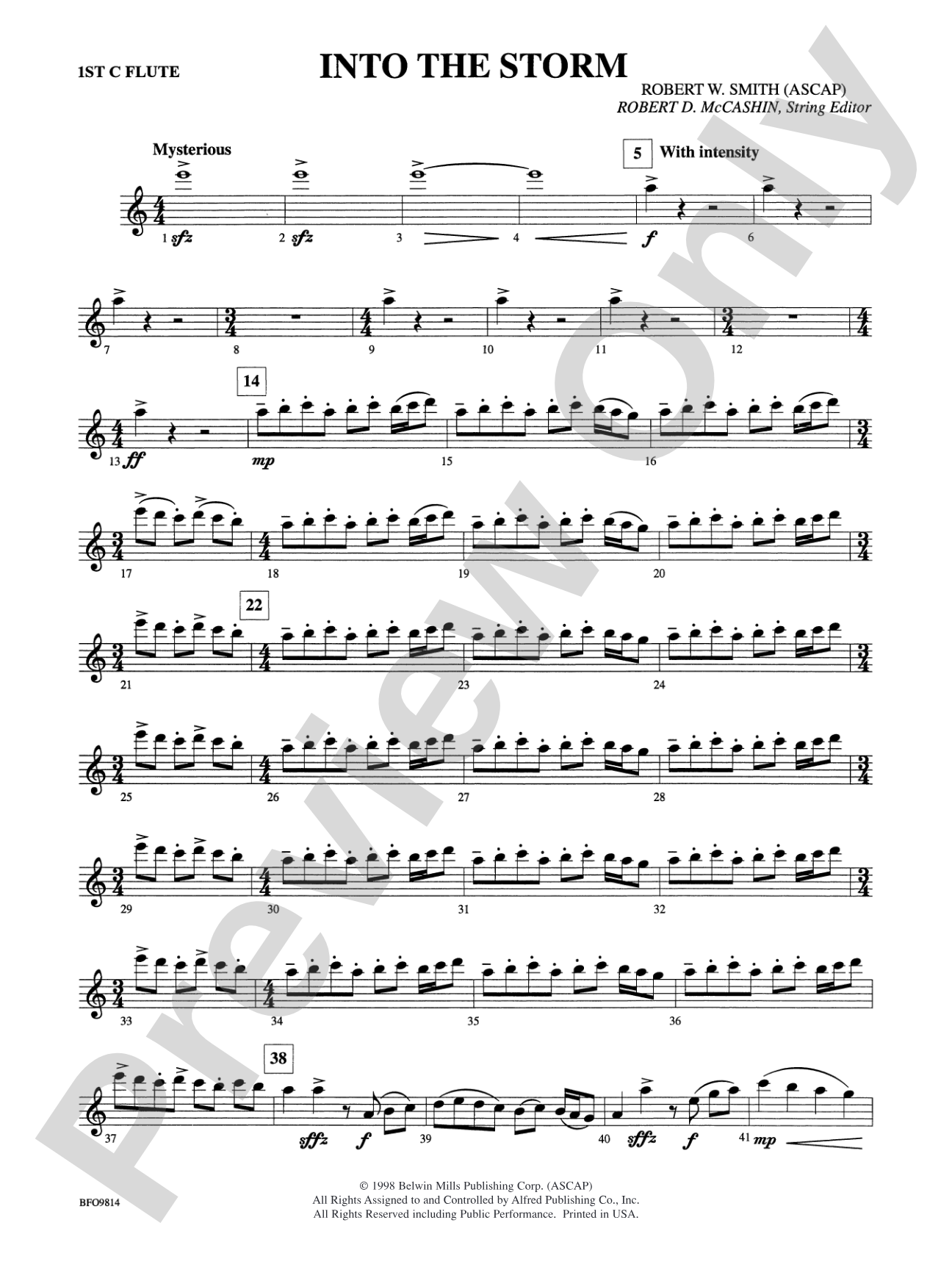 Into the Storm: Flute