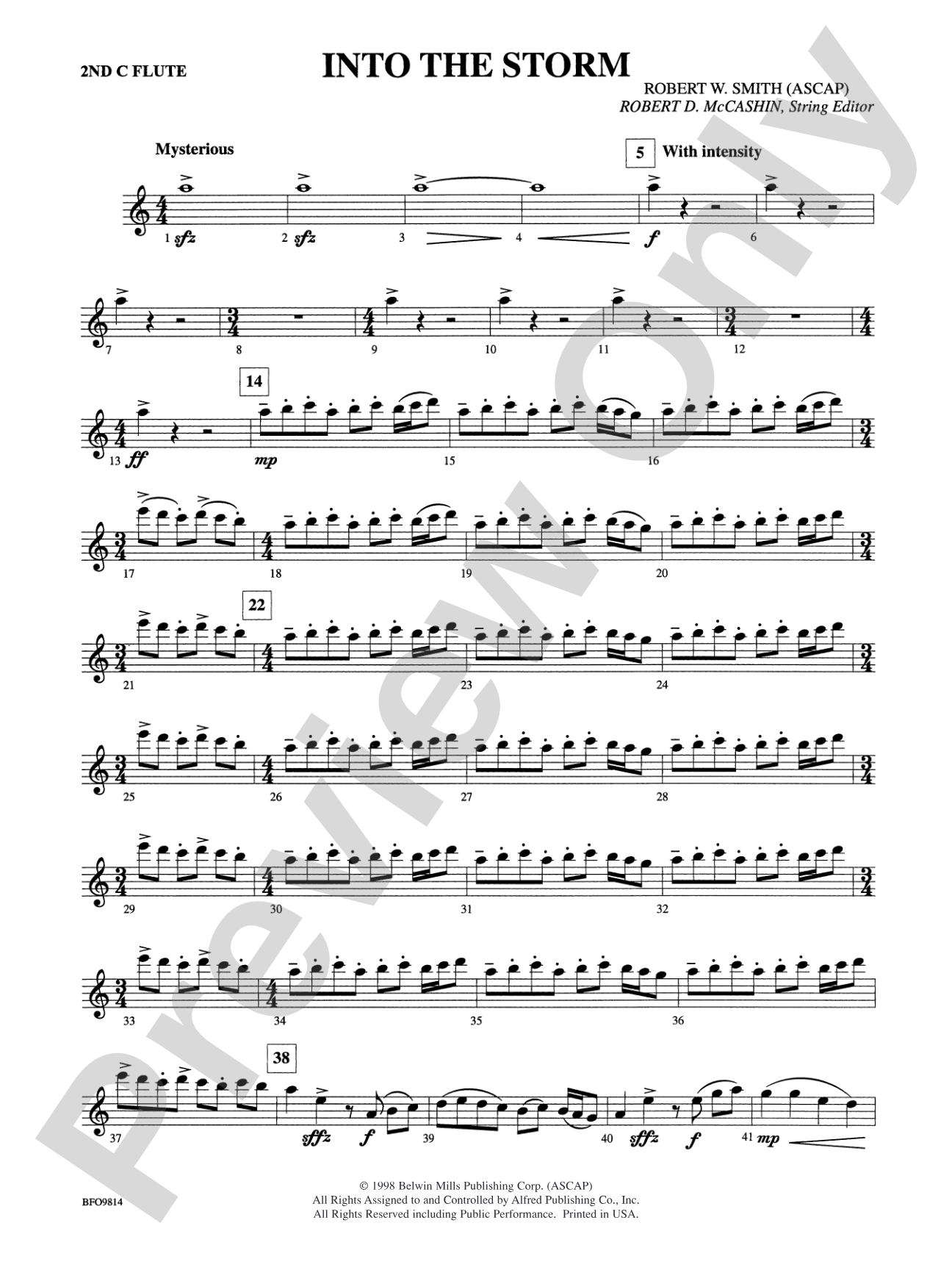 Into the Storm: 2nd Flute
