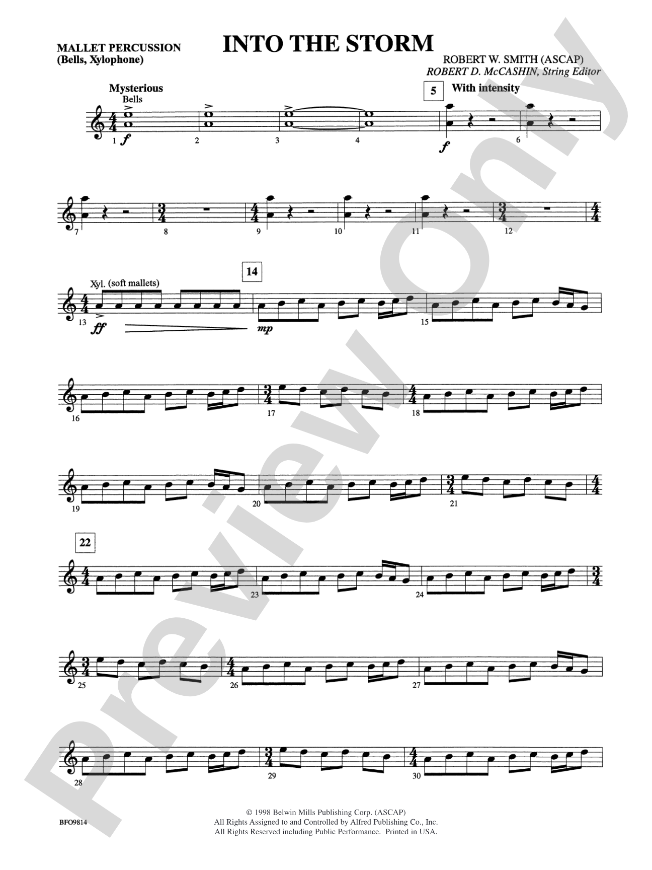 Into the Storm: Mallets