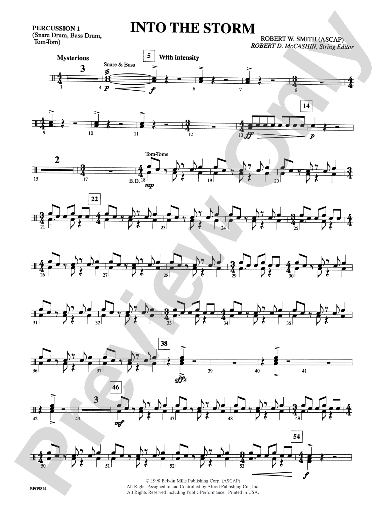 Into the Storm: 1st Percussion