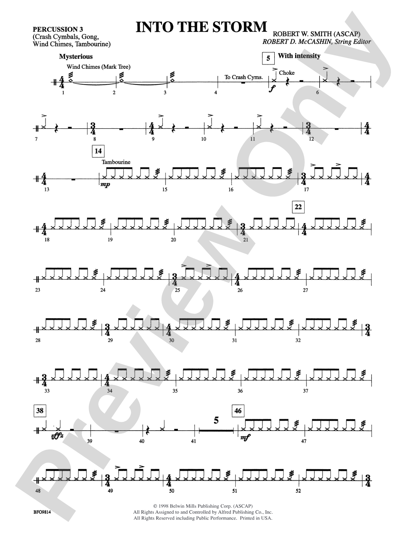 Into the Storm: 3rd Percussion
