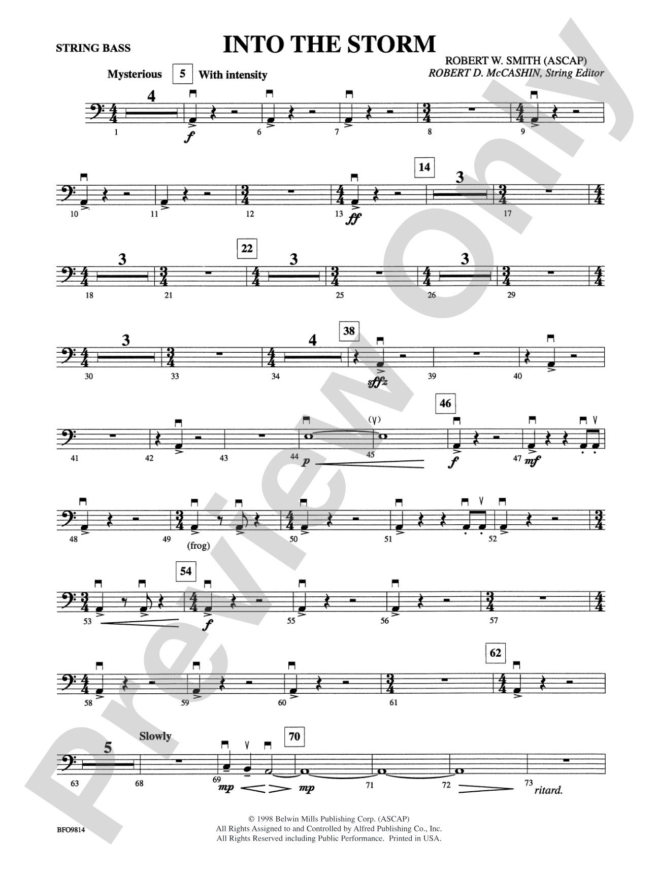 Into the Storm: String Bass