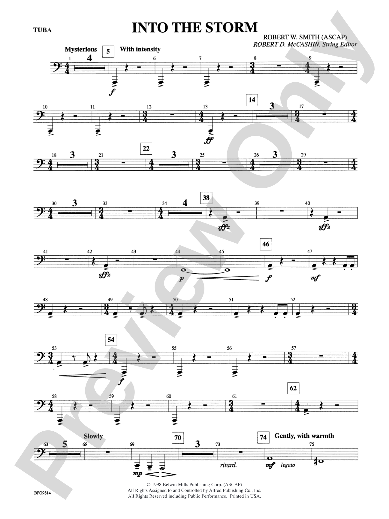 Into the Storm: Tuba