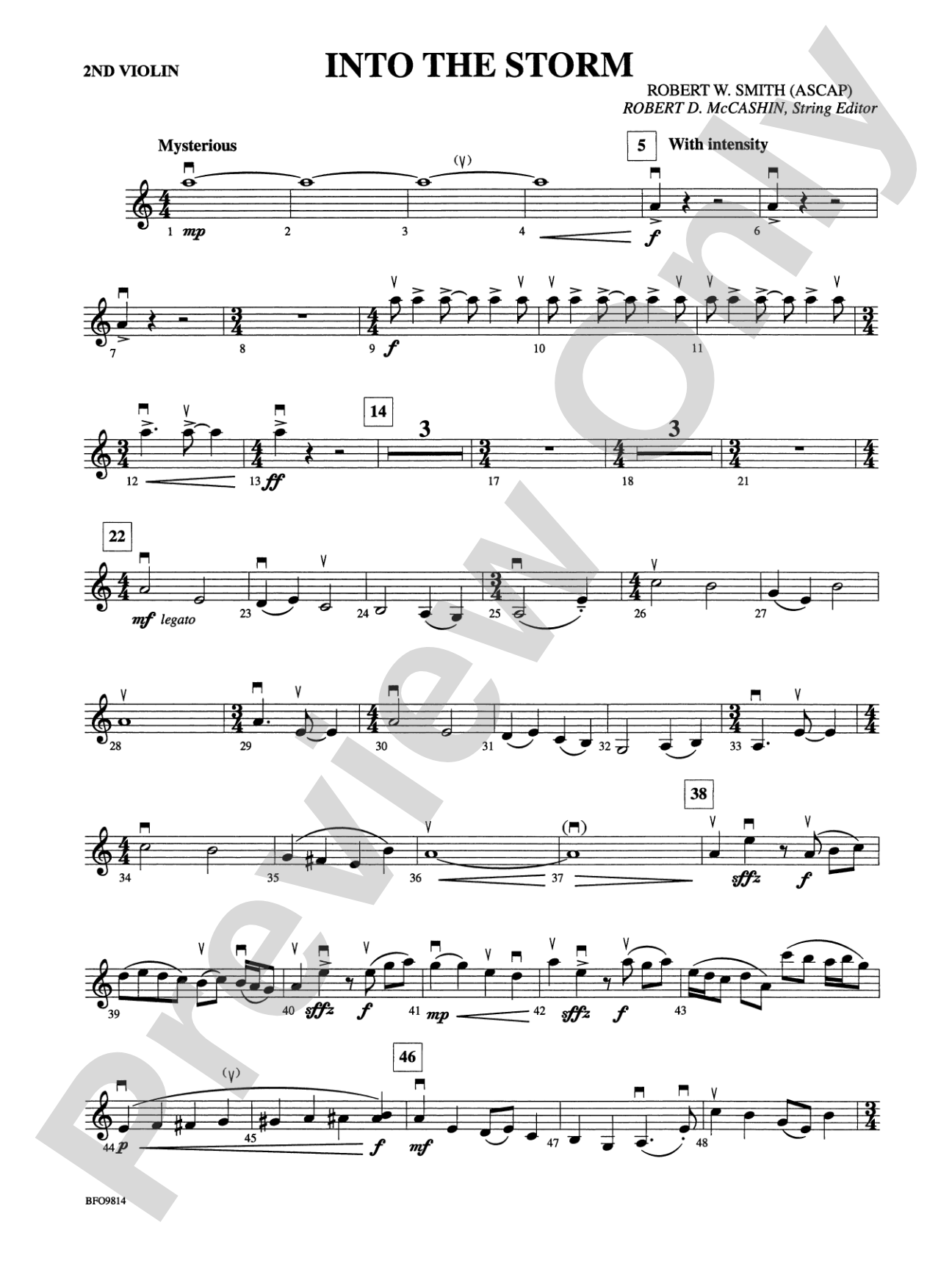 Into the Storm: 2nd Violin