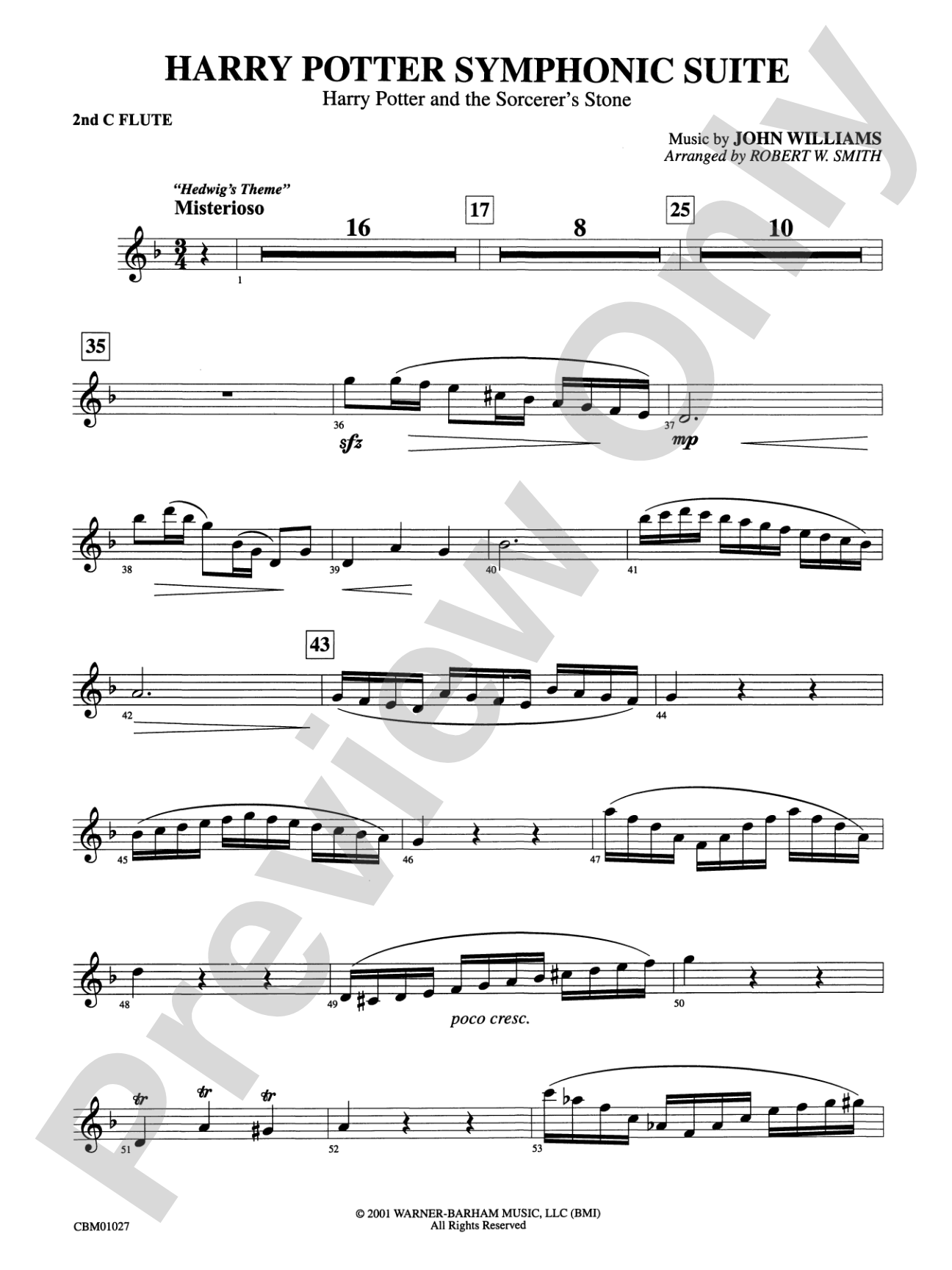 Harry Potter Symphonic Suite: 2nd Flute