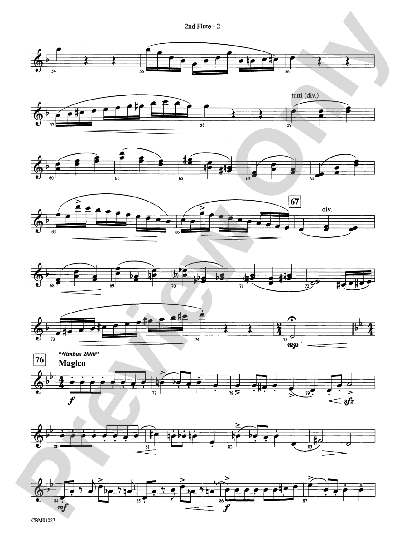 Harry Potter Symphonic Suite: 2nd Flute