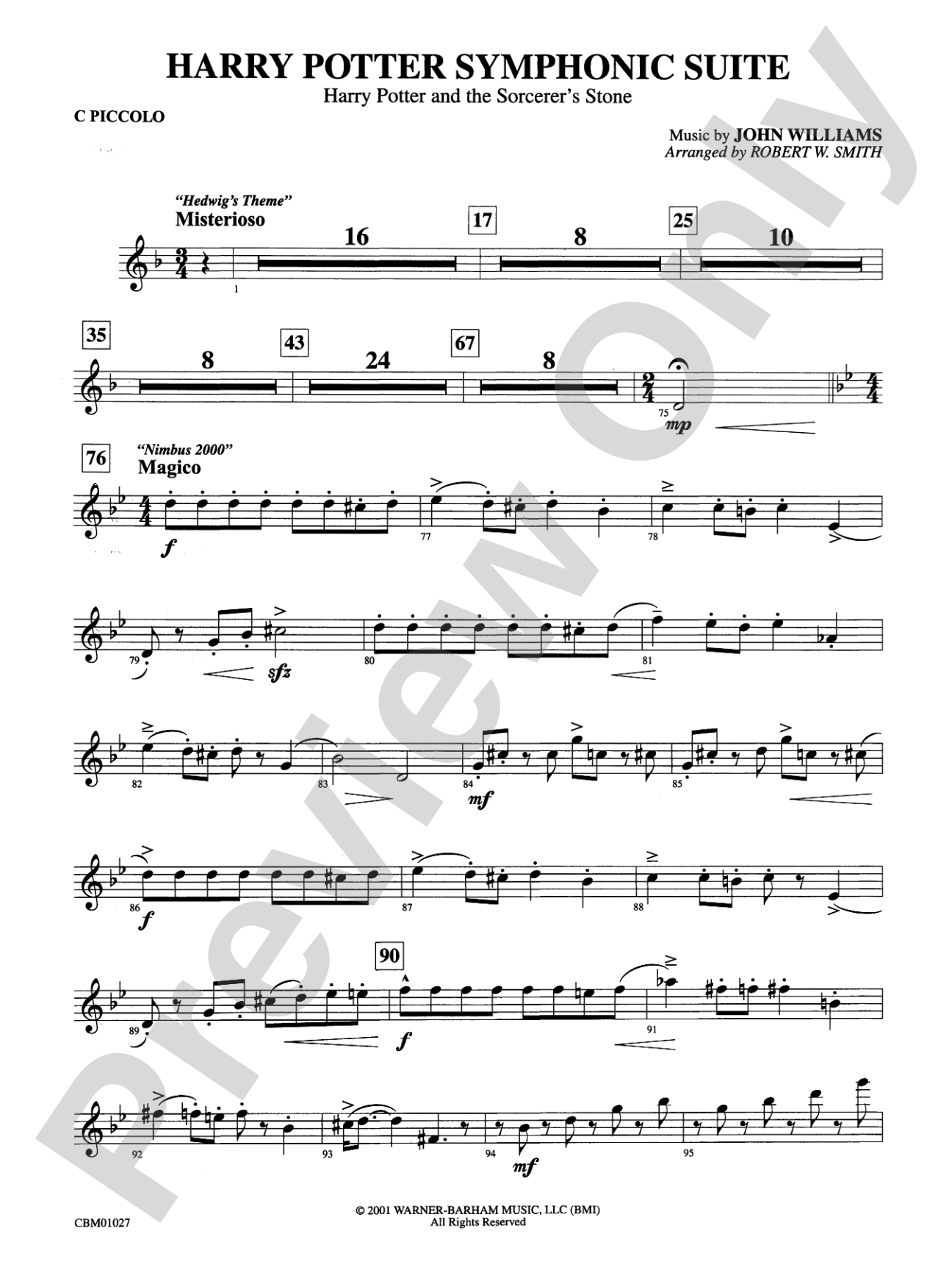 Harry Potter Symphonic Suite: Piccolo