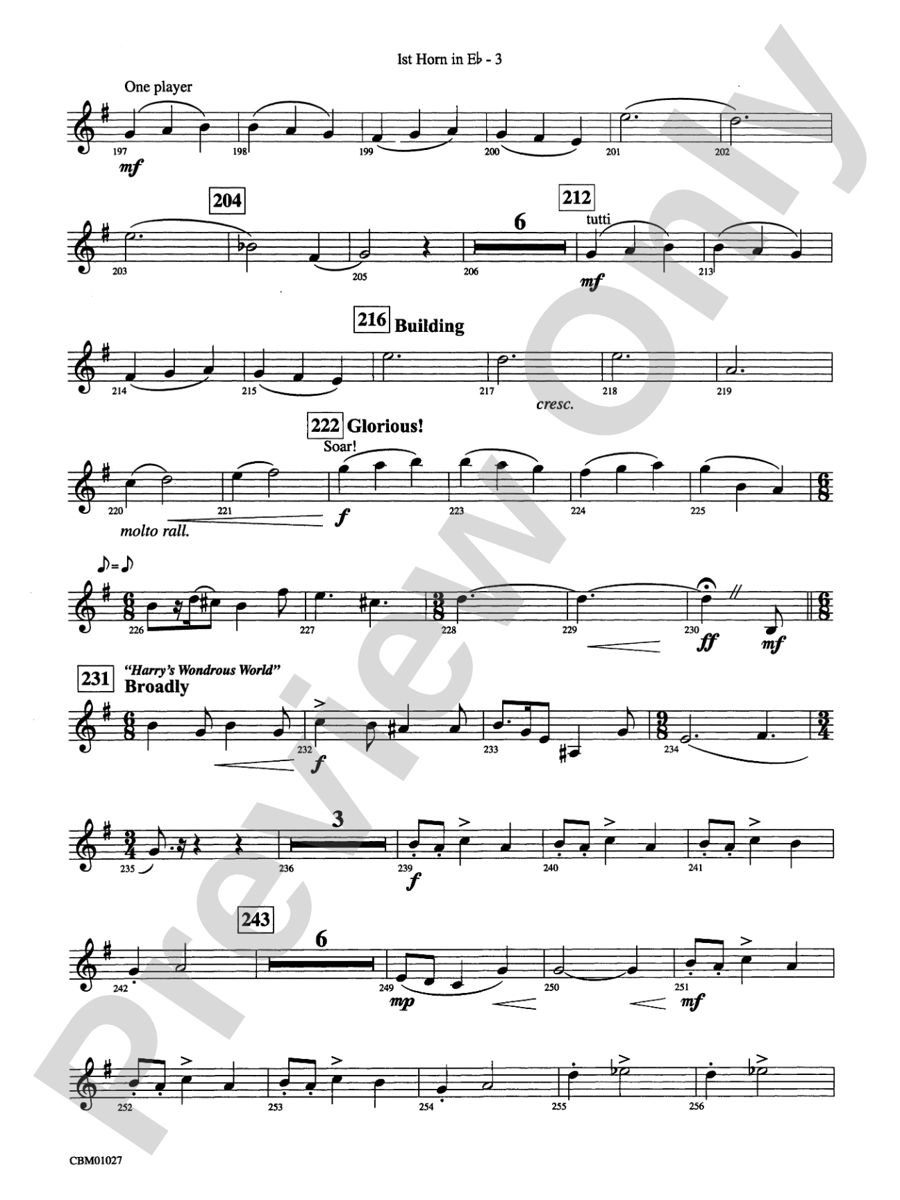 Harry Potter Symphonic Suite: (wp) 1st Horn in E-flat