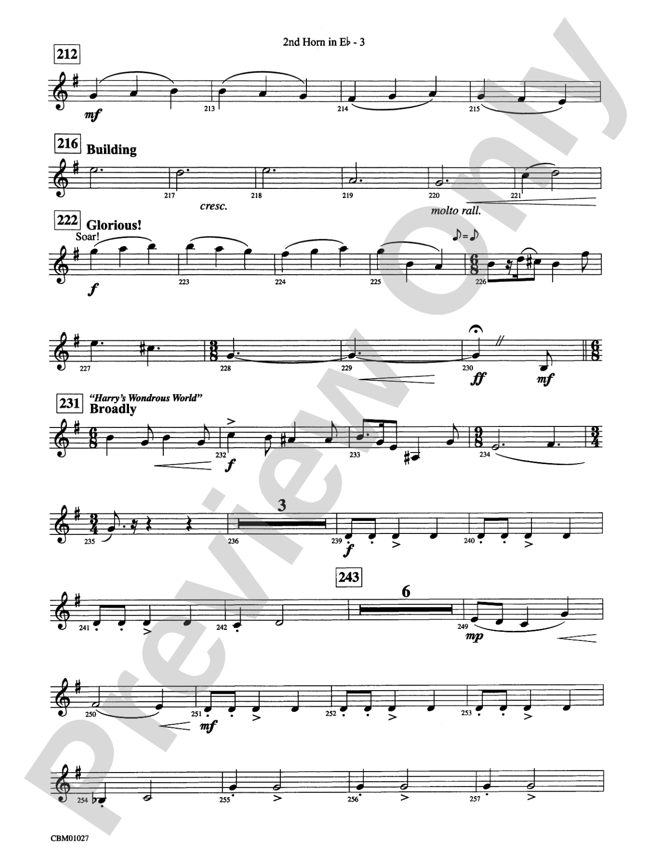 Harry Potter Symphonic Suite: (wp) 2nd Horn in E-flat