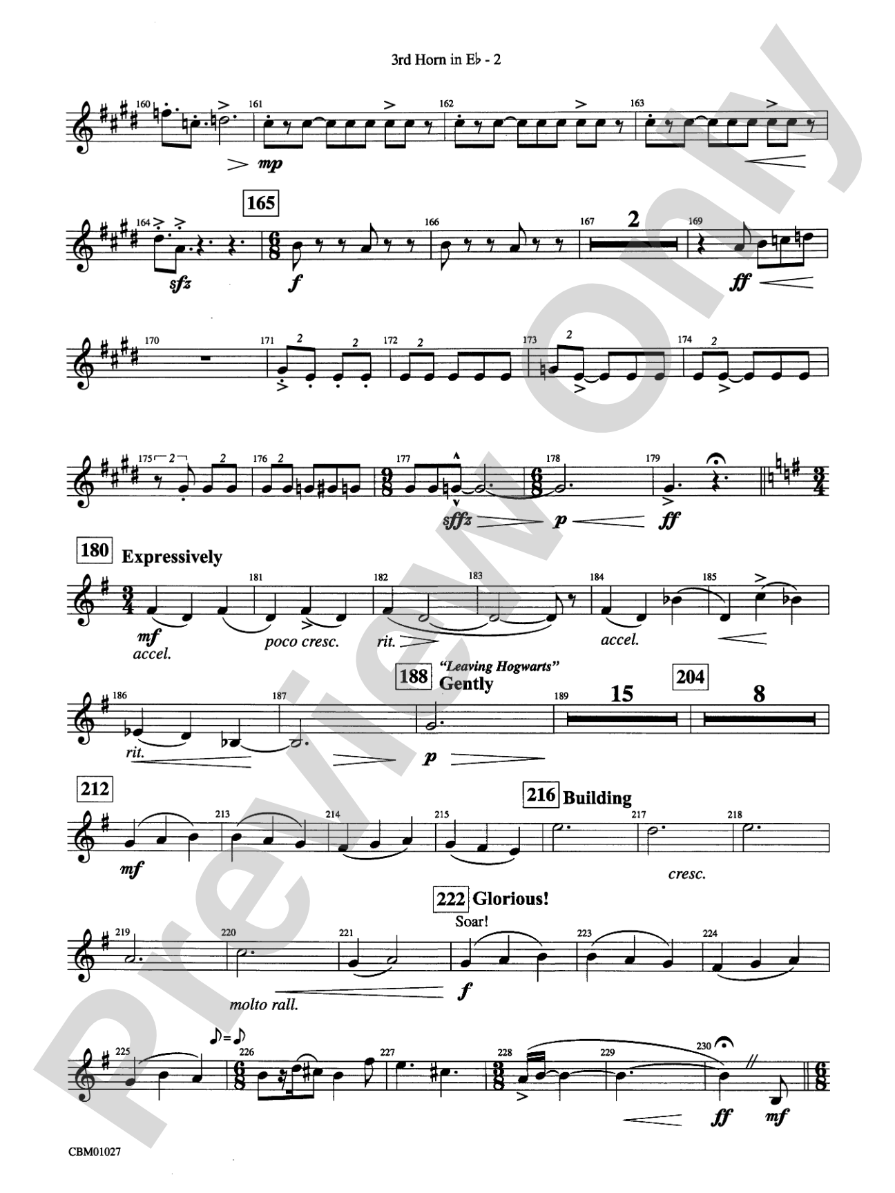 Harry Potter Symphonic Suite: (wp) 3rd Horn in E-flat