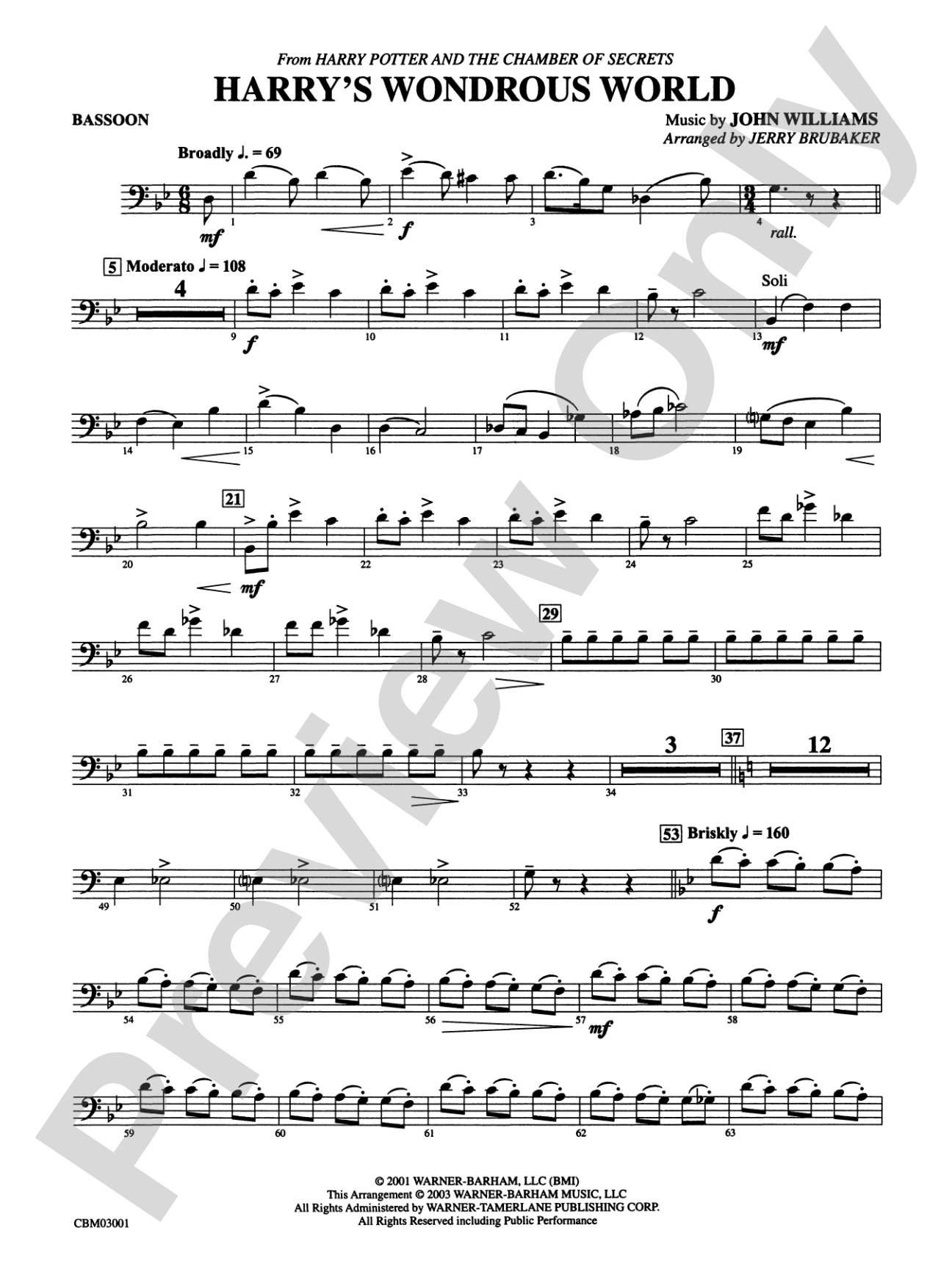 Harry's Wondrous World (from Harry Potter and the Chamber of Secrets): Bassoon