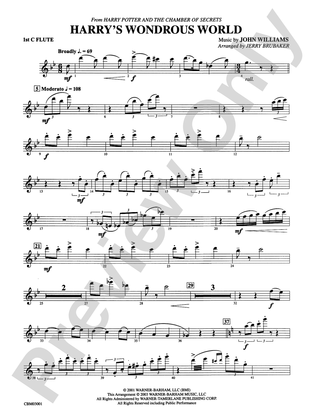 Harry's Wondrous World (from Harry Potter and the Chamber of Secrets): Flute