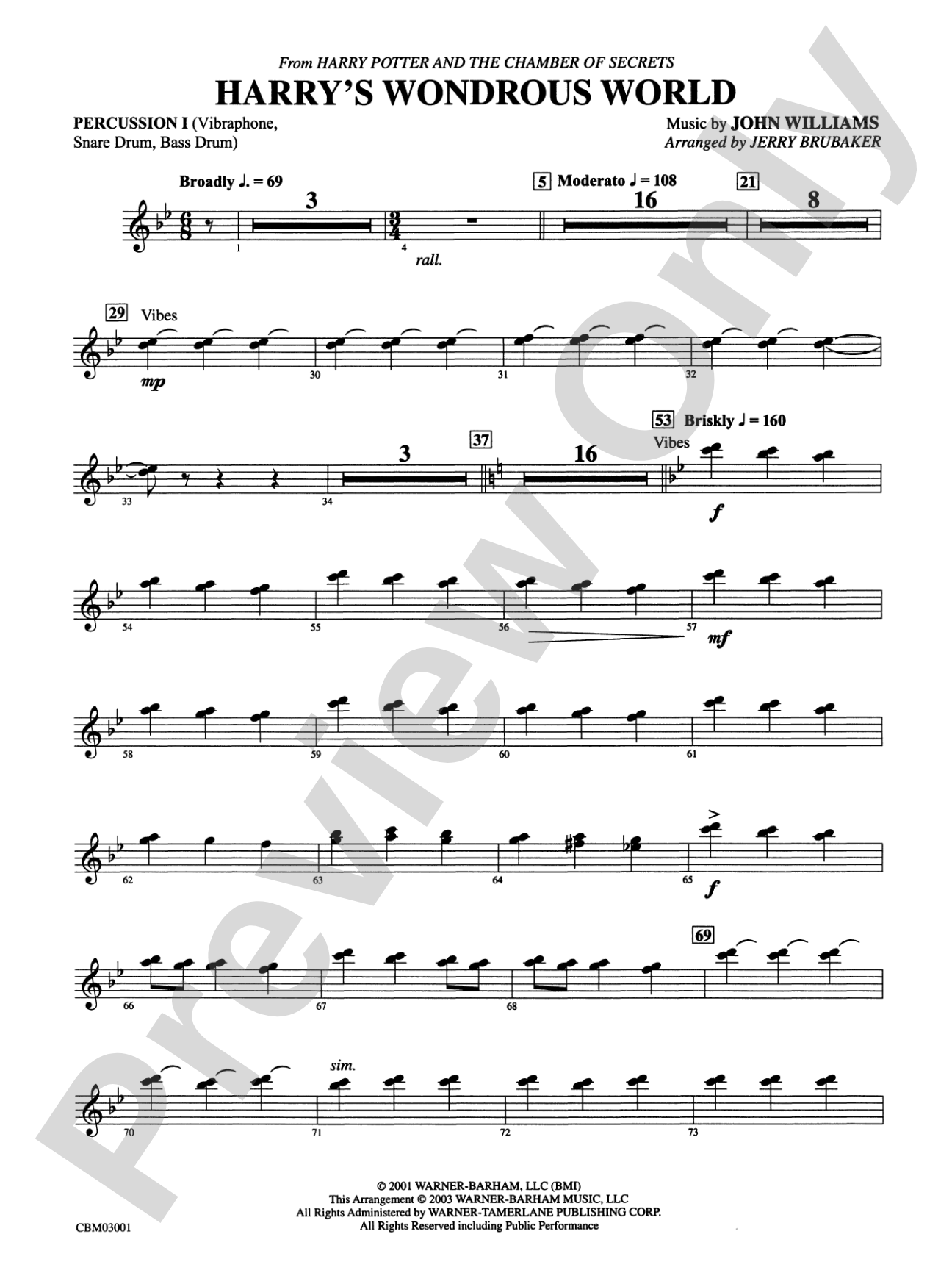 Harry's Wondrous World (from Harry Potter and the Chamber of Secrets): 1st Percussion