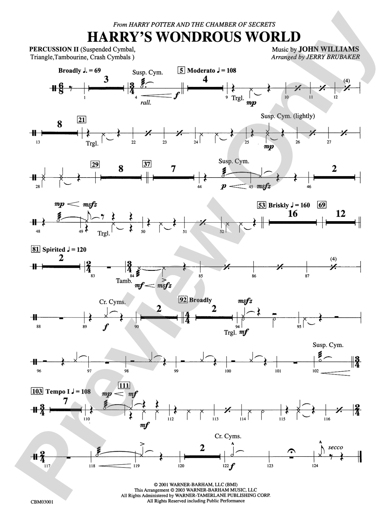 Harry's Wondrous World (from Harry Potter and the Chamber of Secrets): 2nd Percussion