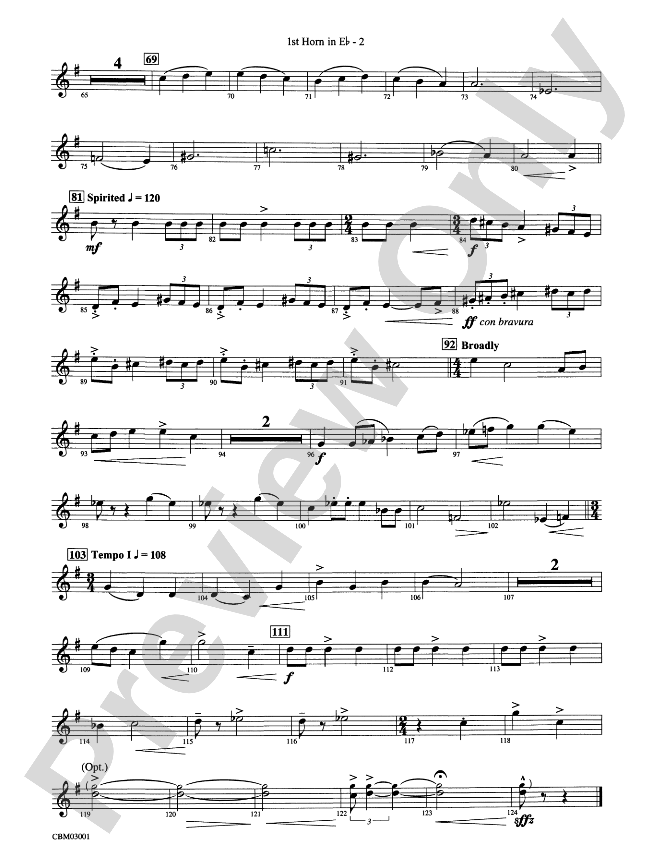 Harry's Wondrous World (from Harry Potter and the Chamber of Secrets): (wp) 1st Horn in E-flat