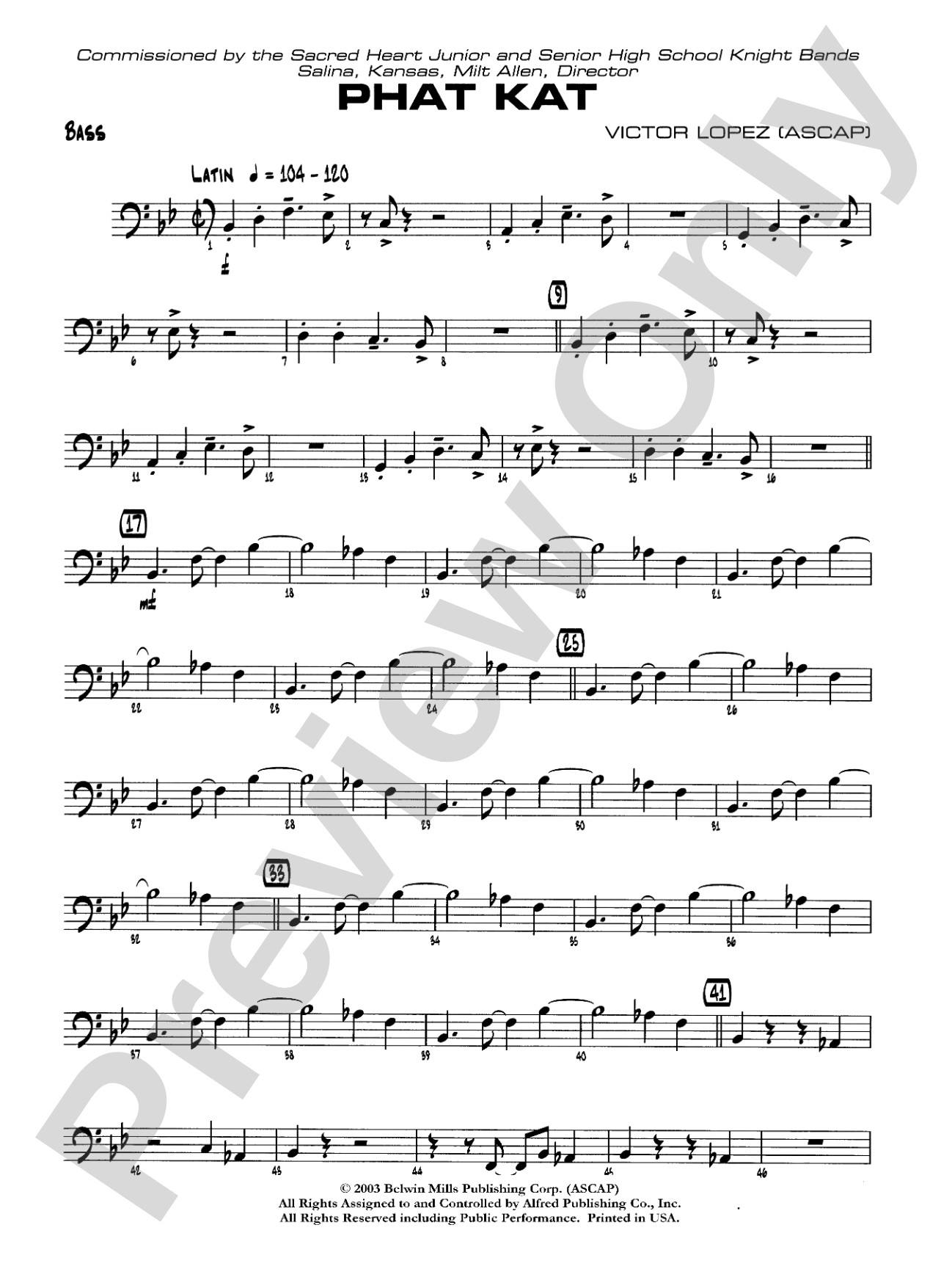 Phat Kat: String Bass