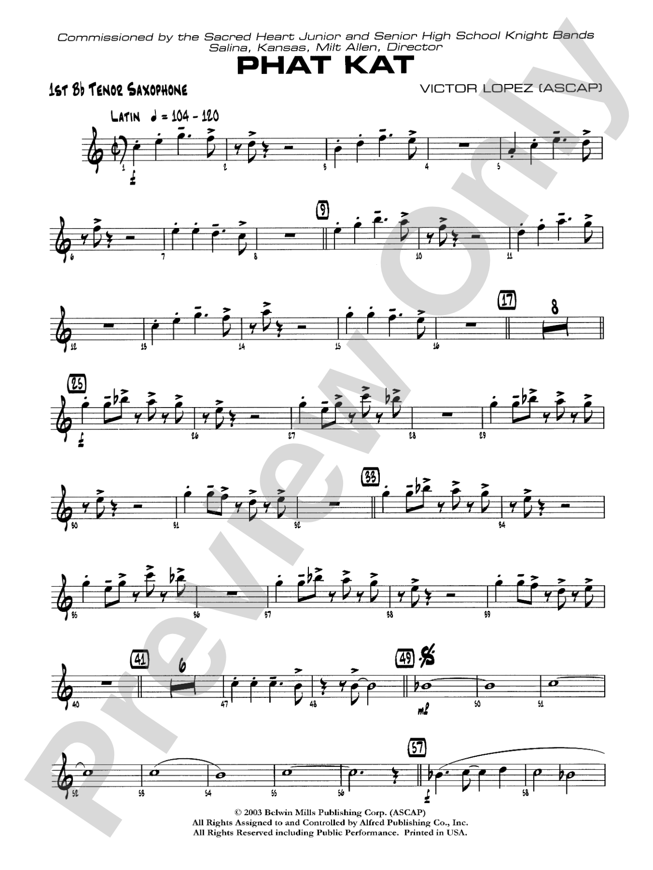 Phat Kat: B-flat Tenor Saxophone