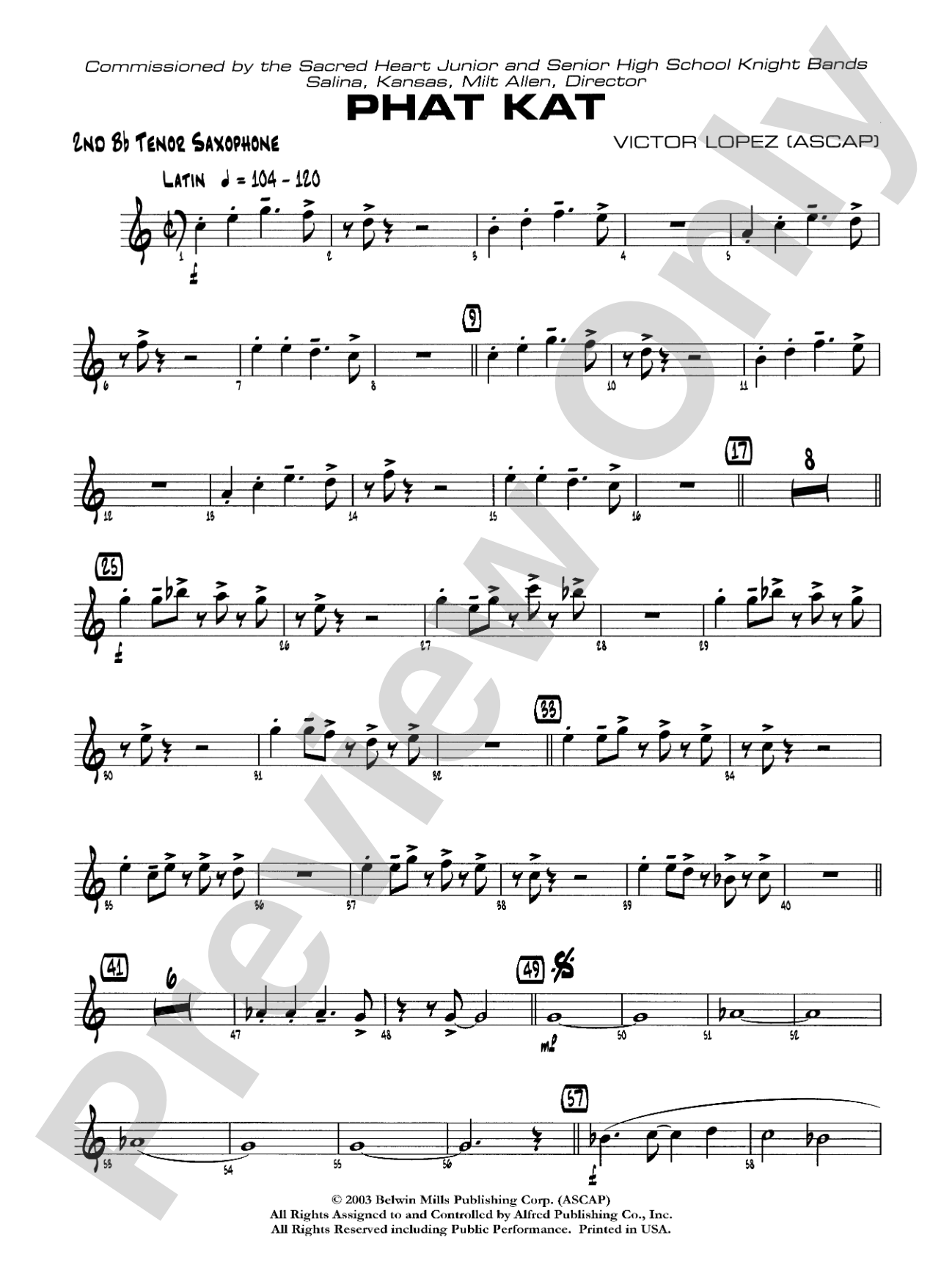 Phat Kat: 2nd B-flat Tenor Saxophone