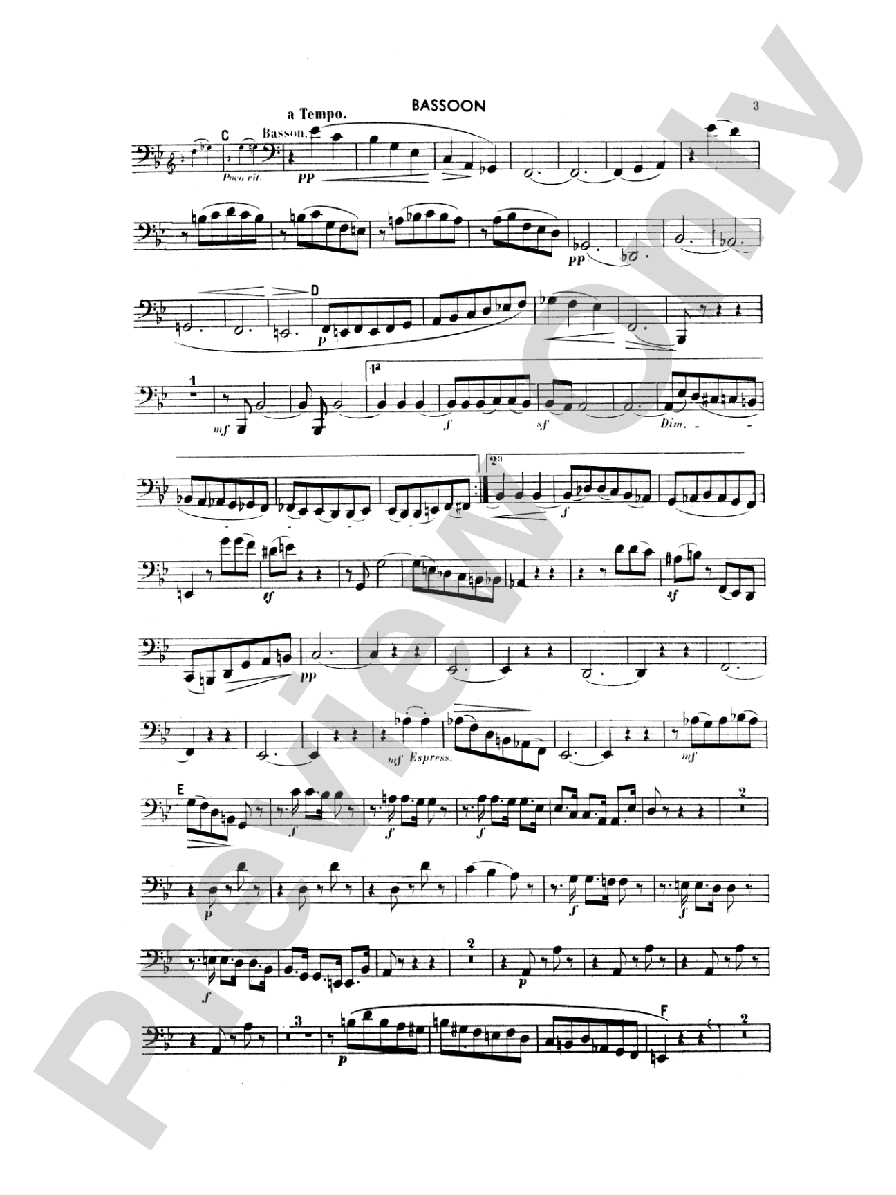 Woodwind Quintet: Bassoon