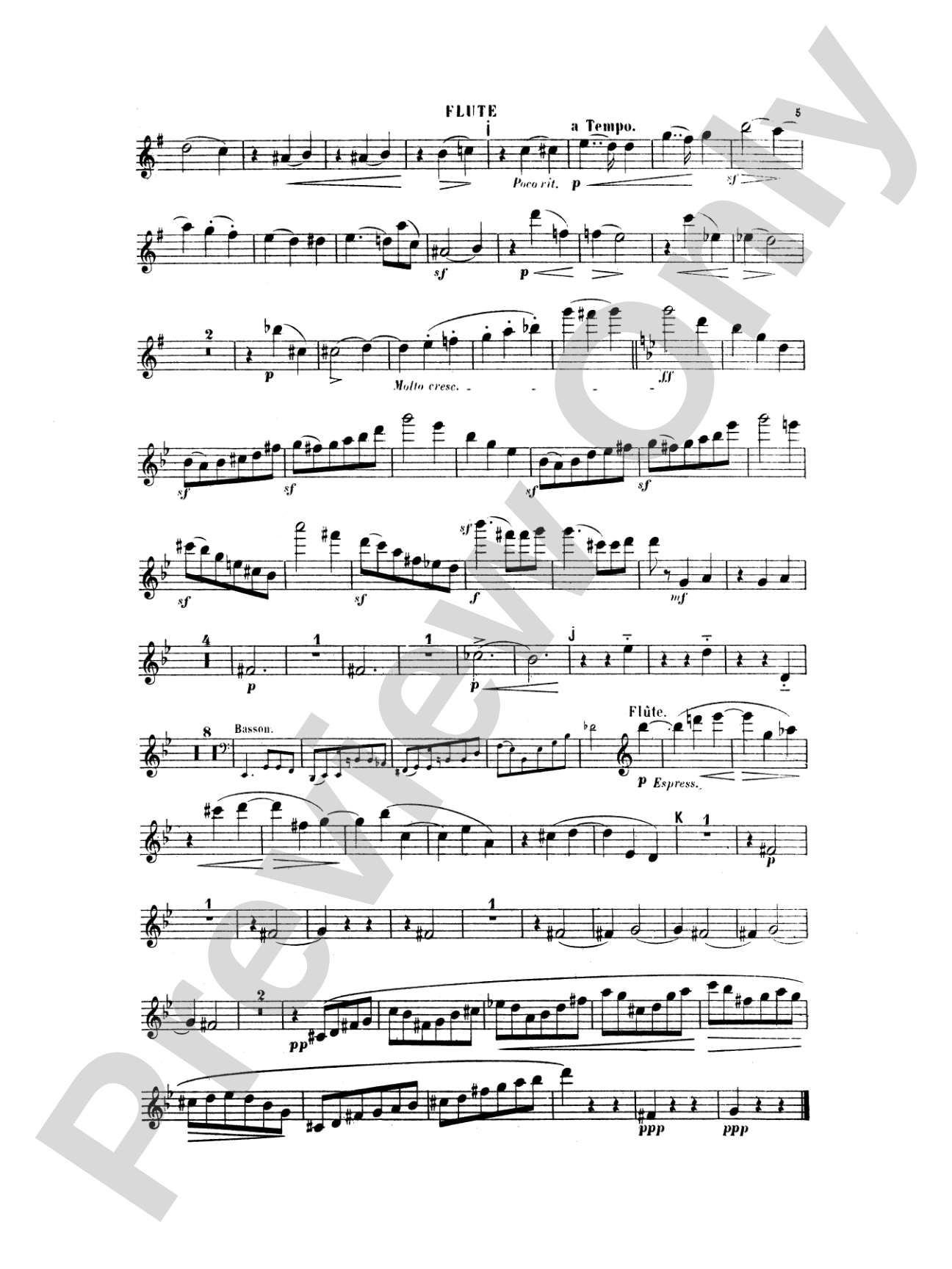 Woodwind Quintet: Woodwind Quintet
