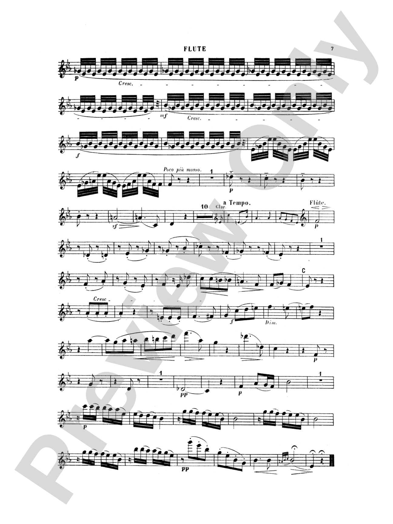 Woodwind Quintet: Woodwind Quintet