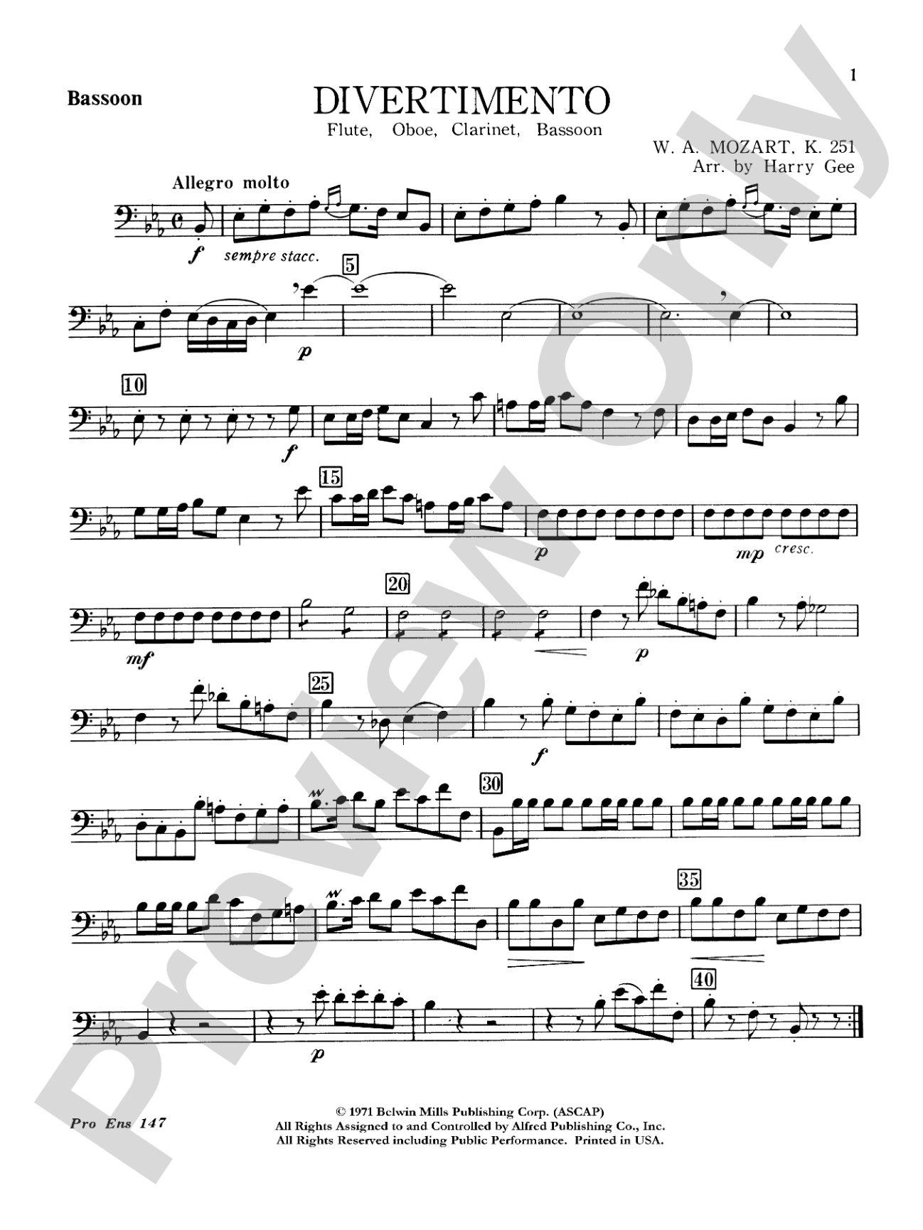 Divertimento: Bassoon