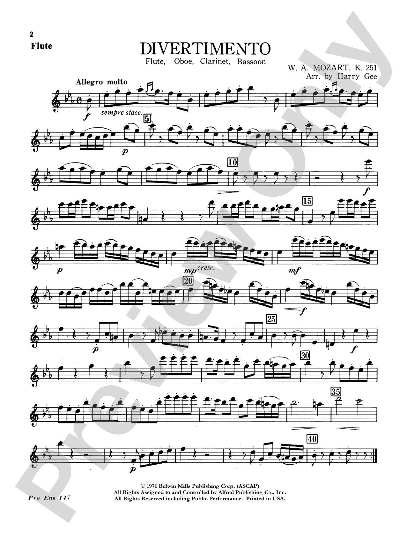 Divertimento: Flute