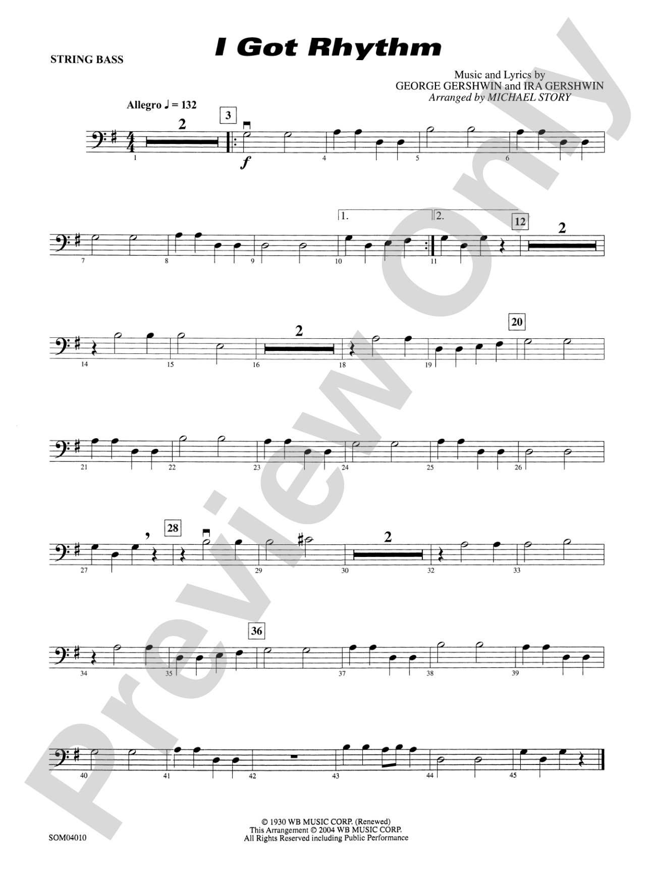 I Got Rhythm: String Bass