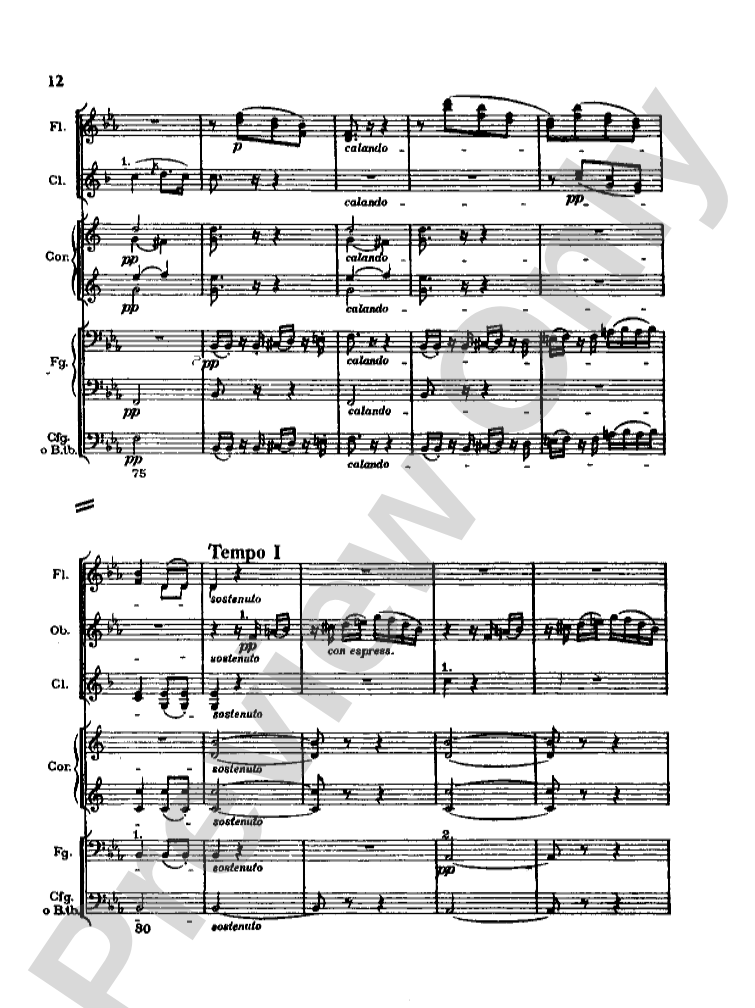 Strauss: Serenade for 13 Winds, Op. 7: Chamber Ensemble Miniature Score