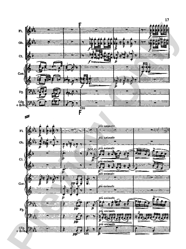 Strauss: Serenade for 13 Winds, Op. 7: Chamber Ensemble Miniature Score