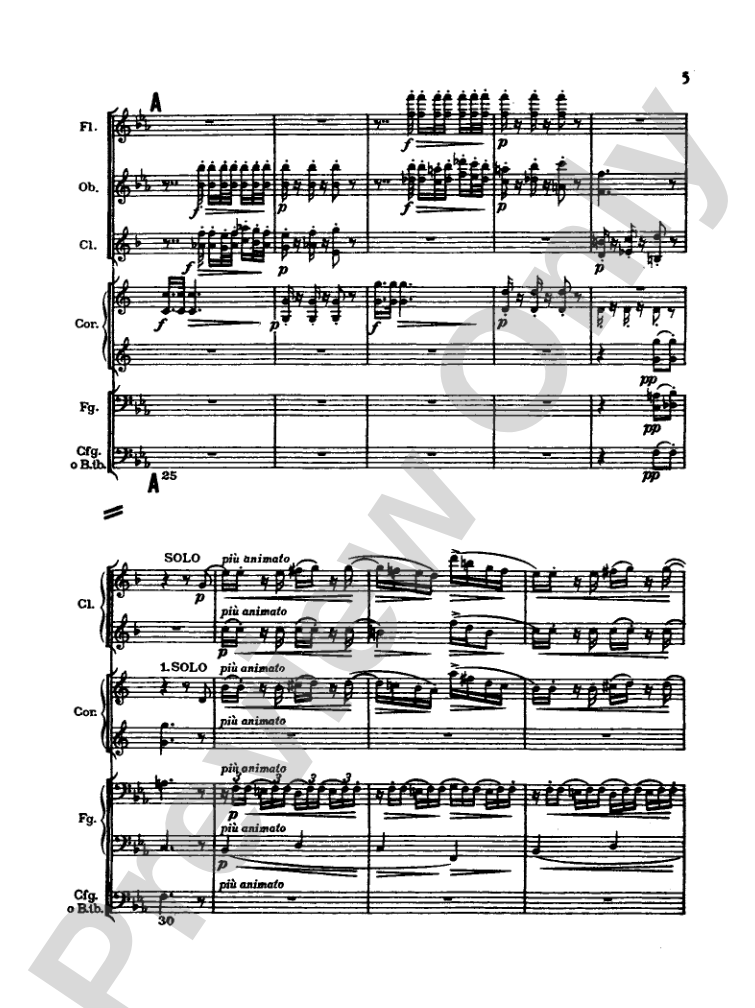 Strauss: Serenade for 13 Winds, Op. 7: Chamber Ensemble Miniature Score