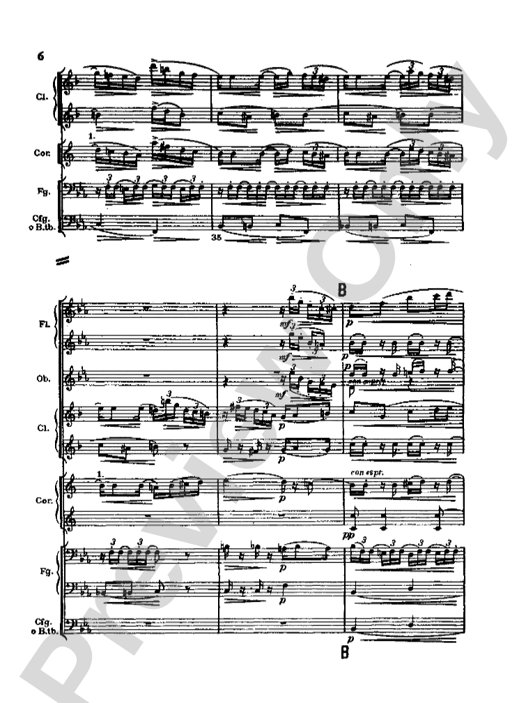 Strauss: Serenade for 13 Winds, Op. 7: Chamber Ensemble Miniature Score