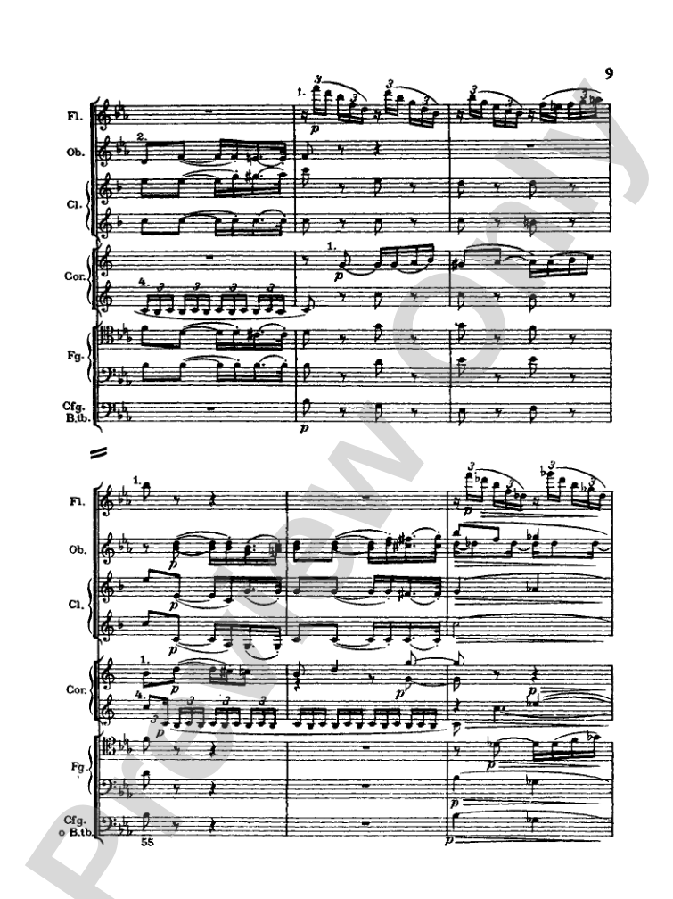 Strauss: Serenade for 13 Winds, Op. 7: Chamber Ensemble Miniature Score