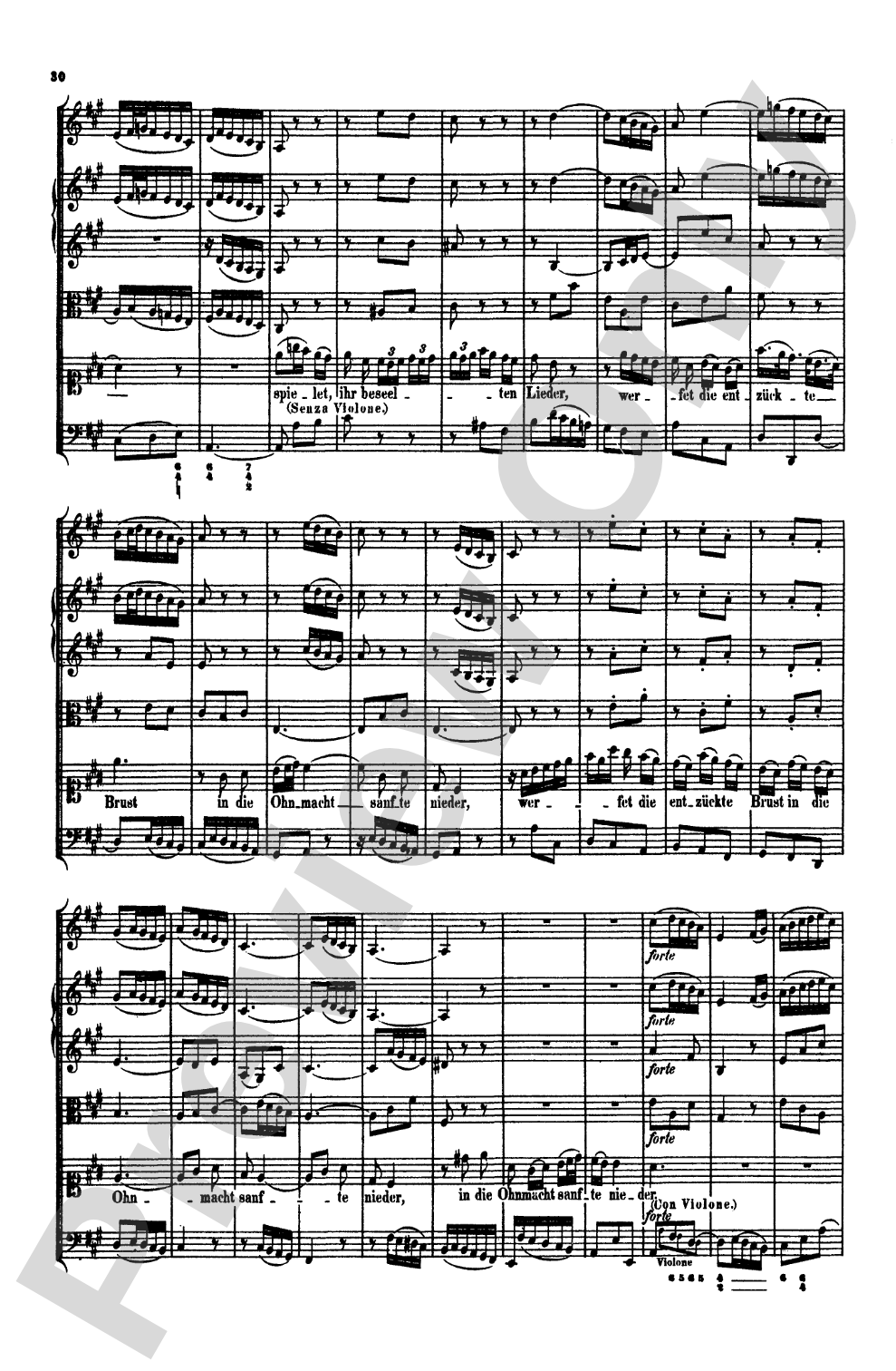 Bach: Cantatas Nos. 209-211, Volume 60