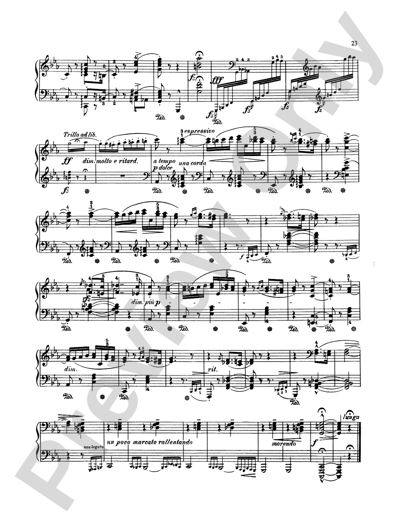 Liszt: Hungarian Rhapsodies (Nos. 1 & 2)