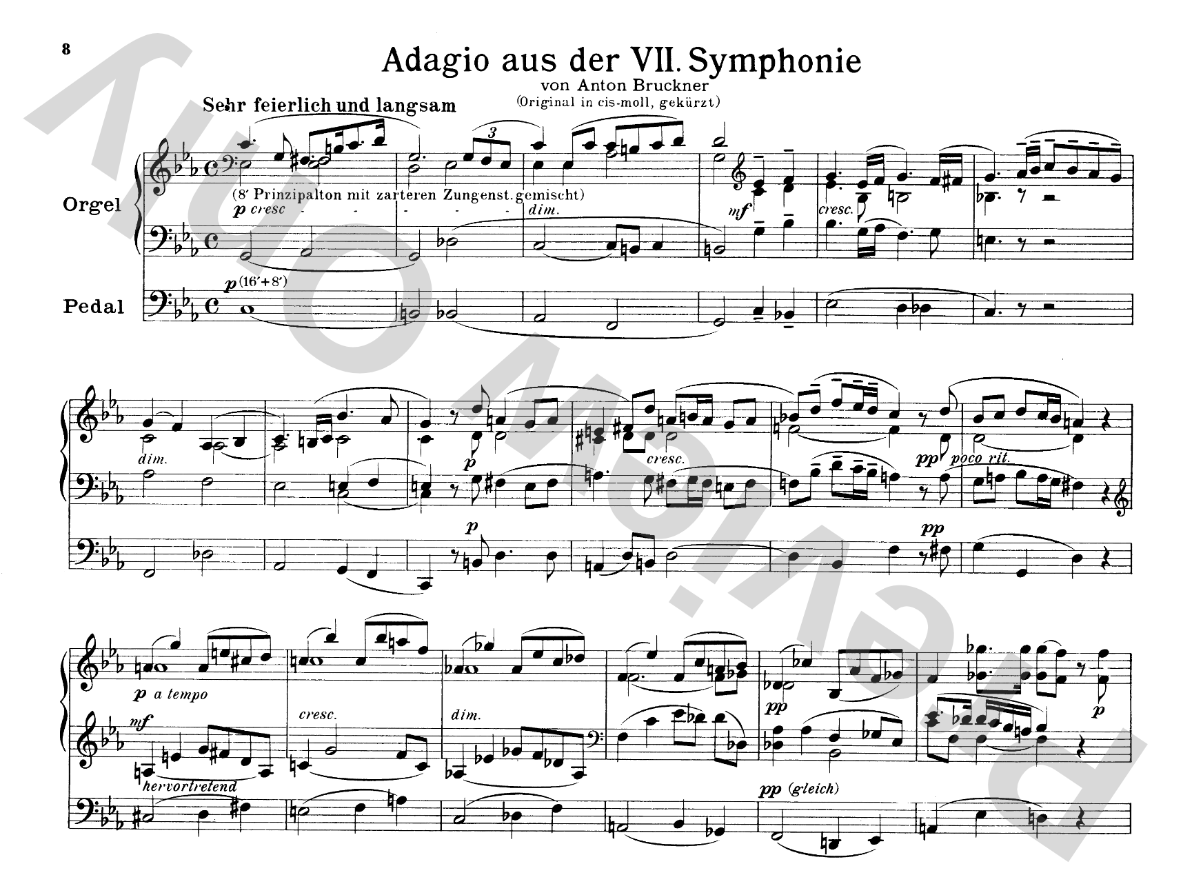 Bruckner: Album of Various Pieces (Including Preludes, Postludes, Transcriptions)