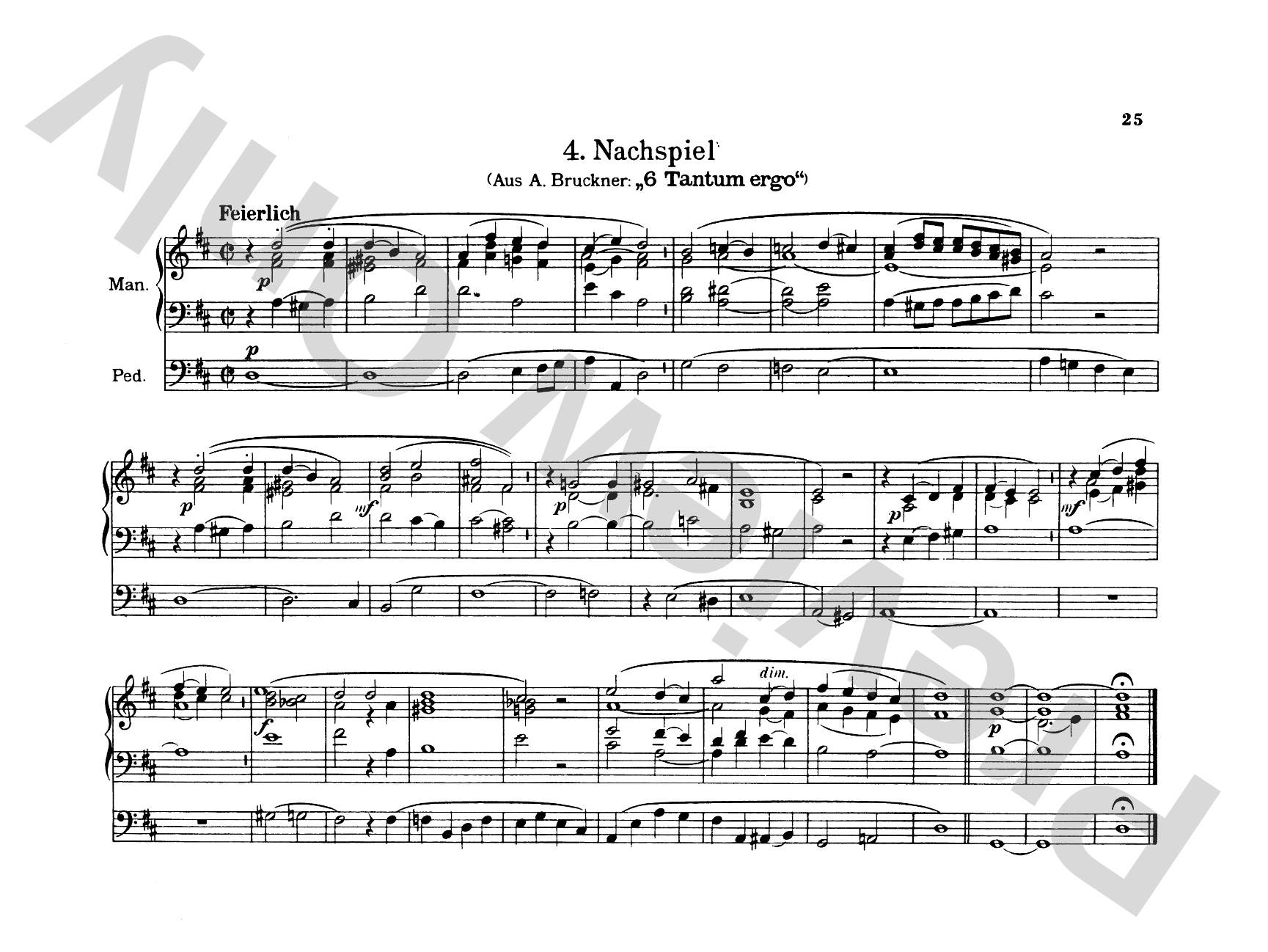 Bruckner: Album of Various Pieces (Including Preludes, Postludes, Transcriptions)