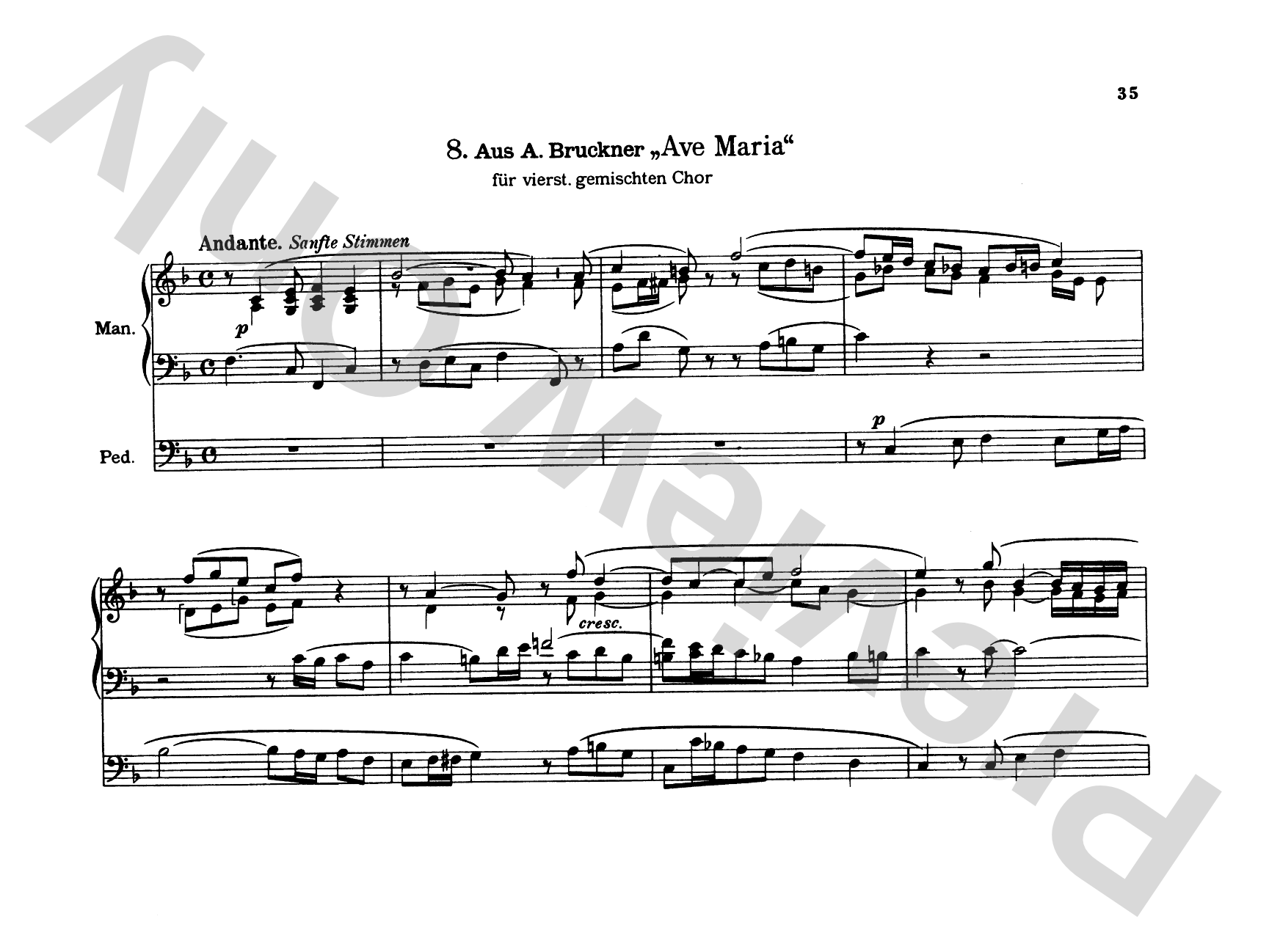 Bruckner: Album of Various Pieces (Including Preludes, Postludes, Transcriptions)