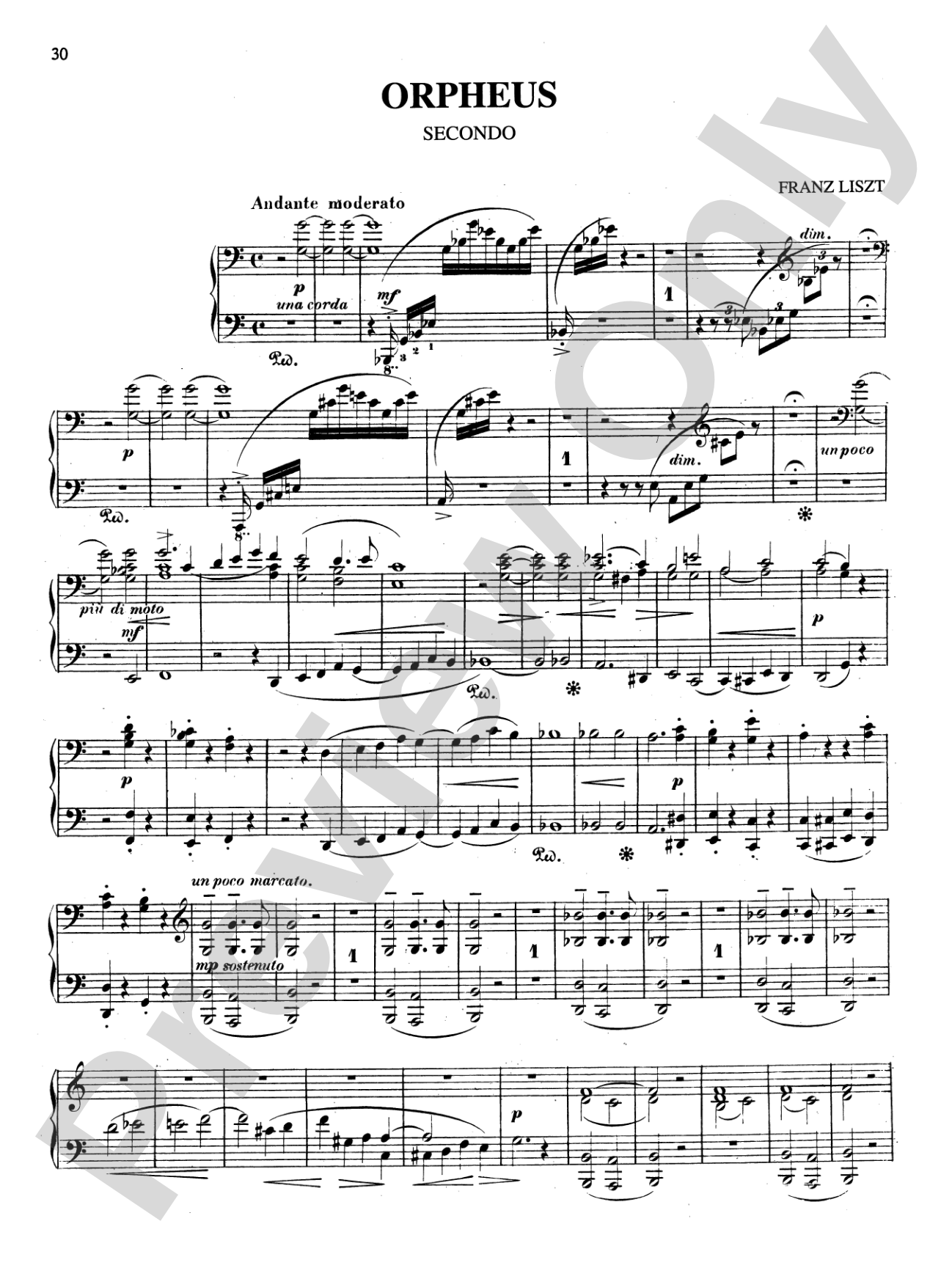 Liszt: Transcriptions of Orchestral Works