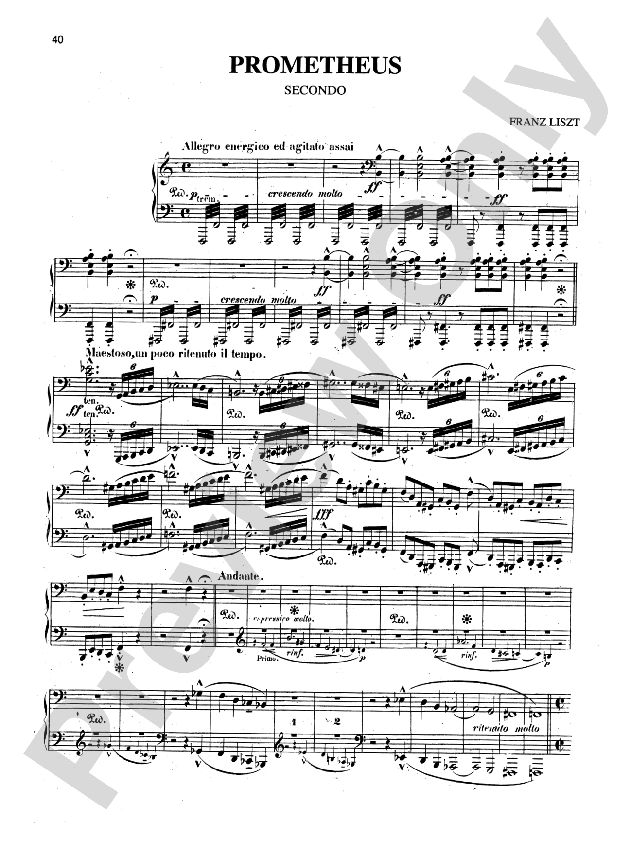 Liszt: Transcriptions of Orchestral Works