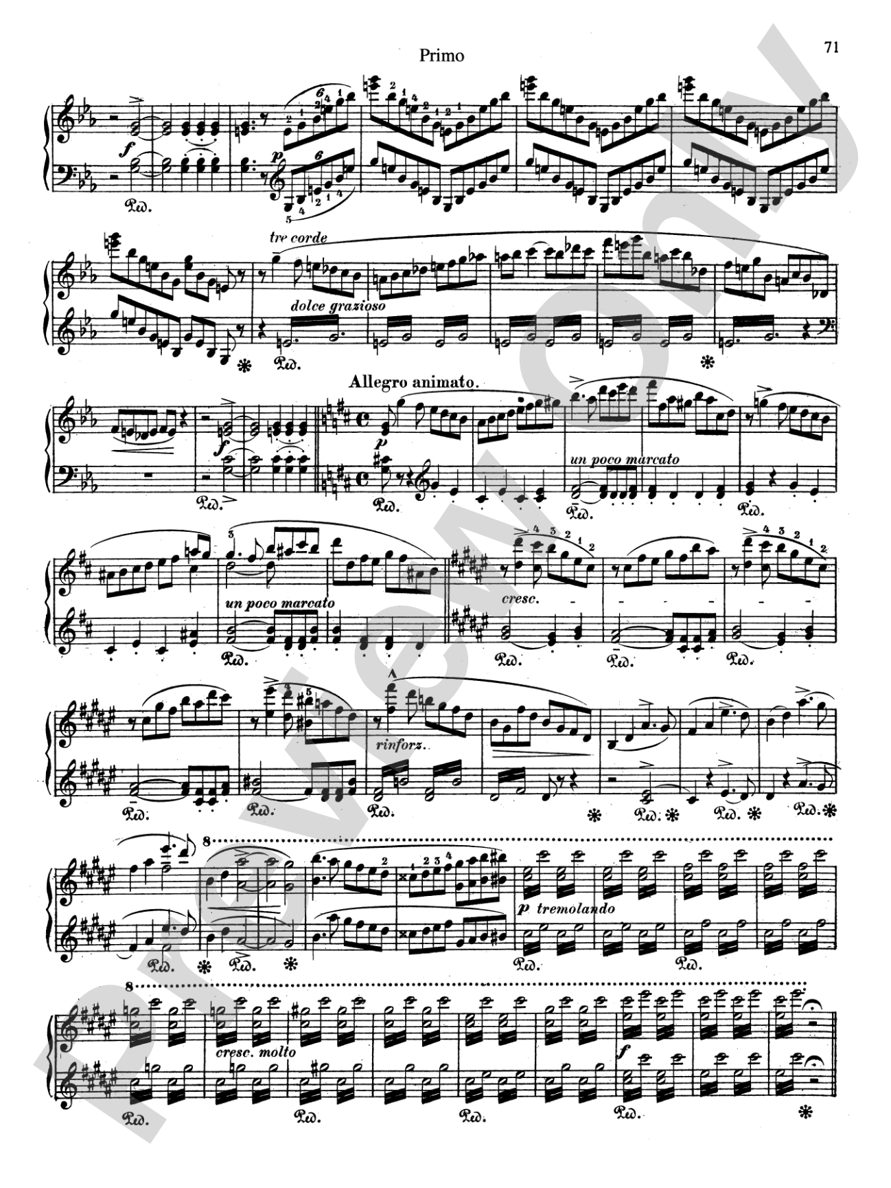 Liszt: Transcriptions of Orchestral Works